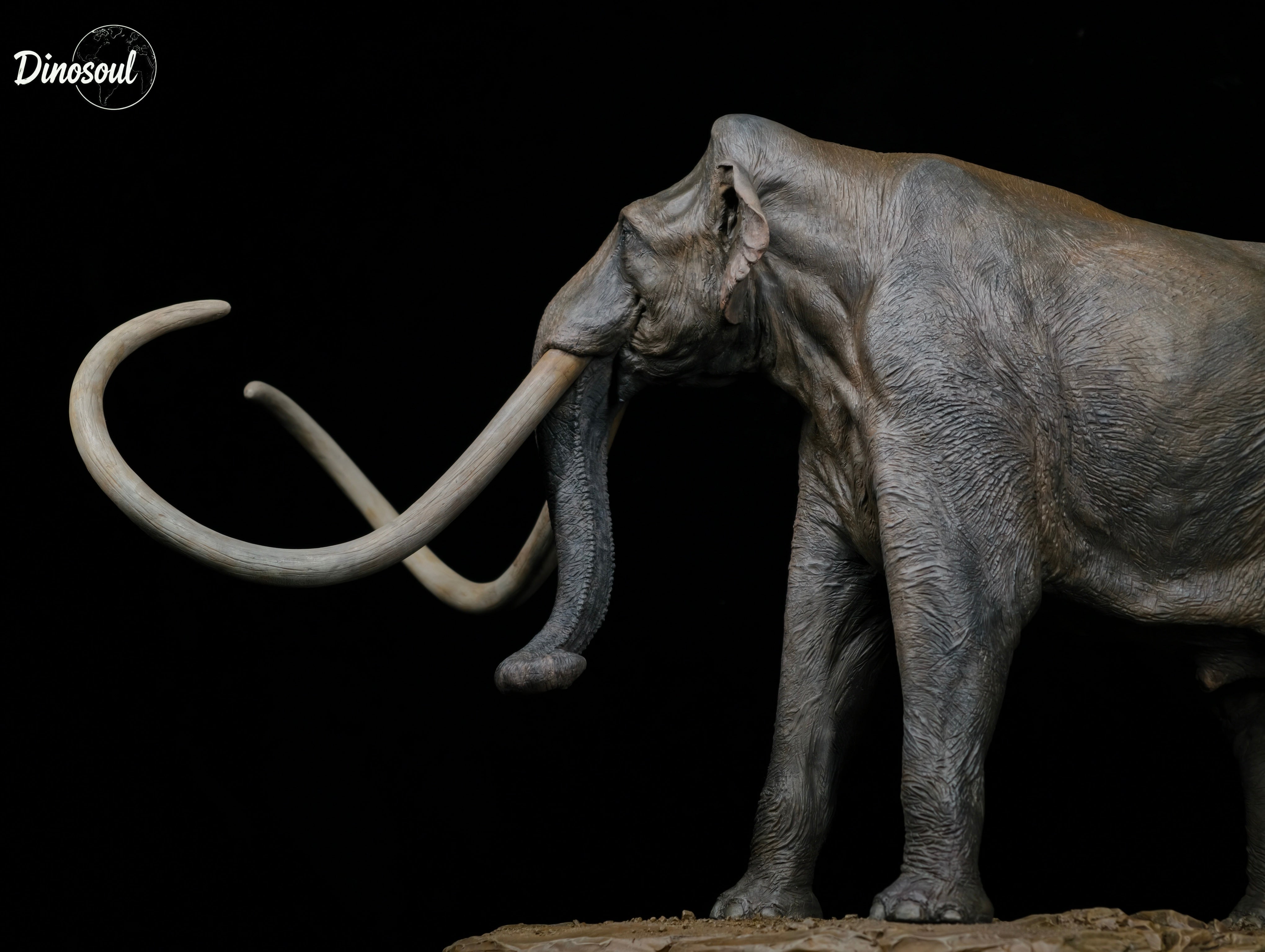 Dinosoul Studio Columbian mammoth Model