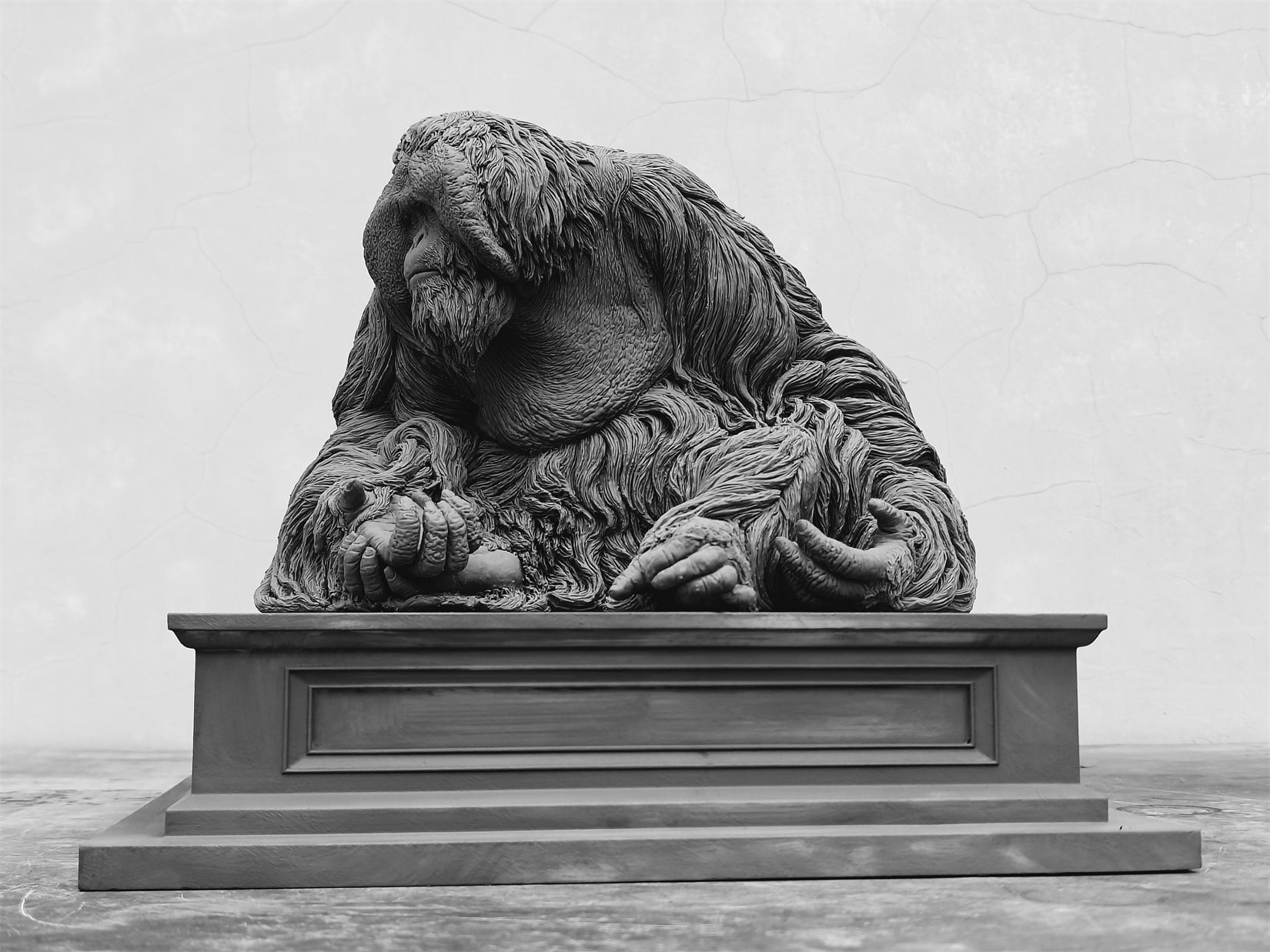 TUNAN Studio 1/6 Scale Bornean orangutan Model