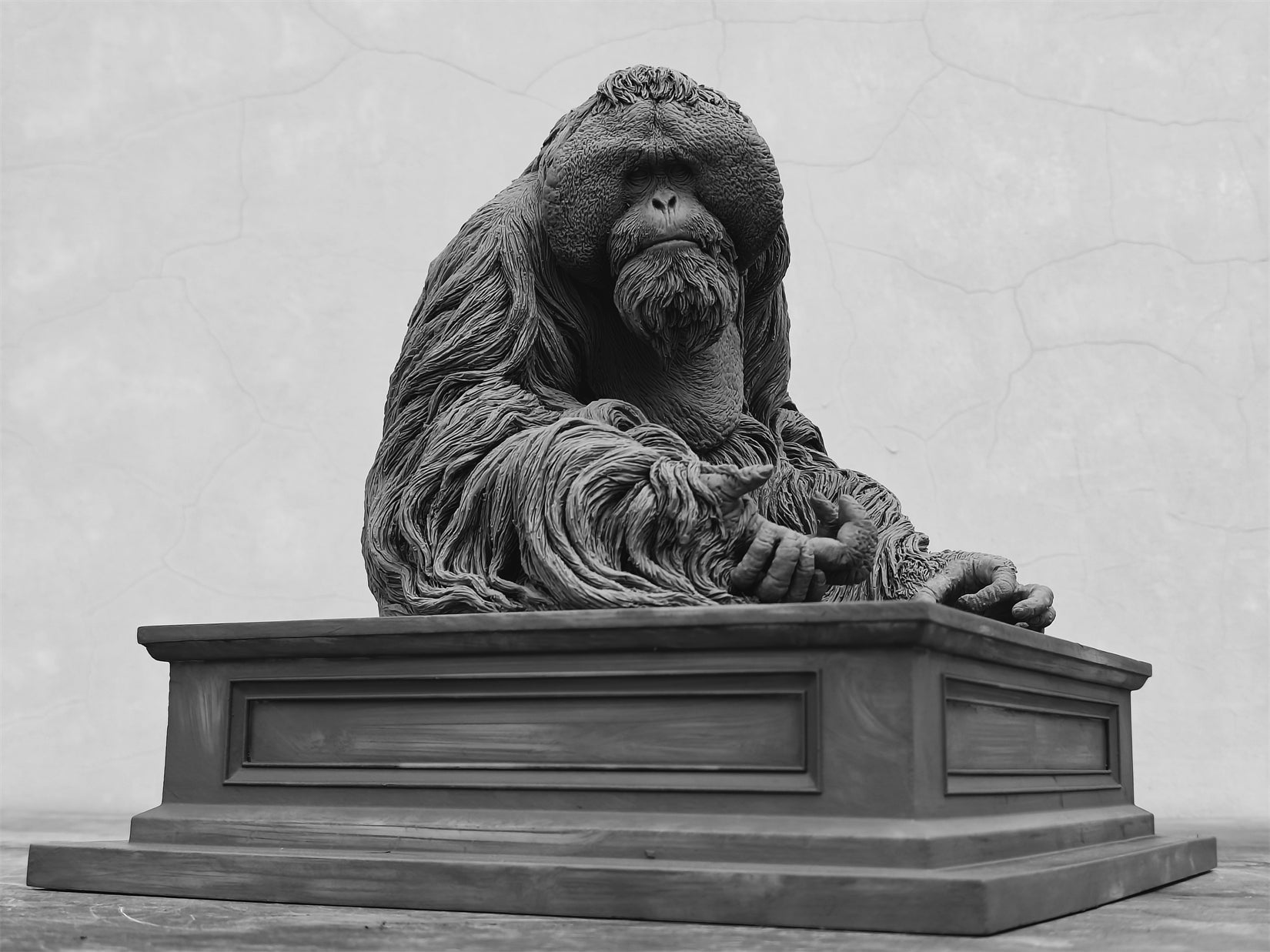 TUNAN Studio 1/6 Scale Bornean orangutan Model