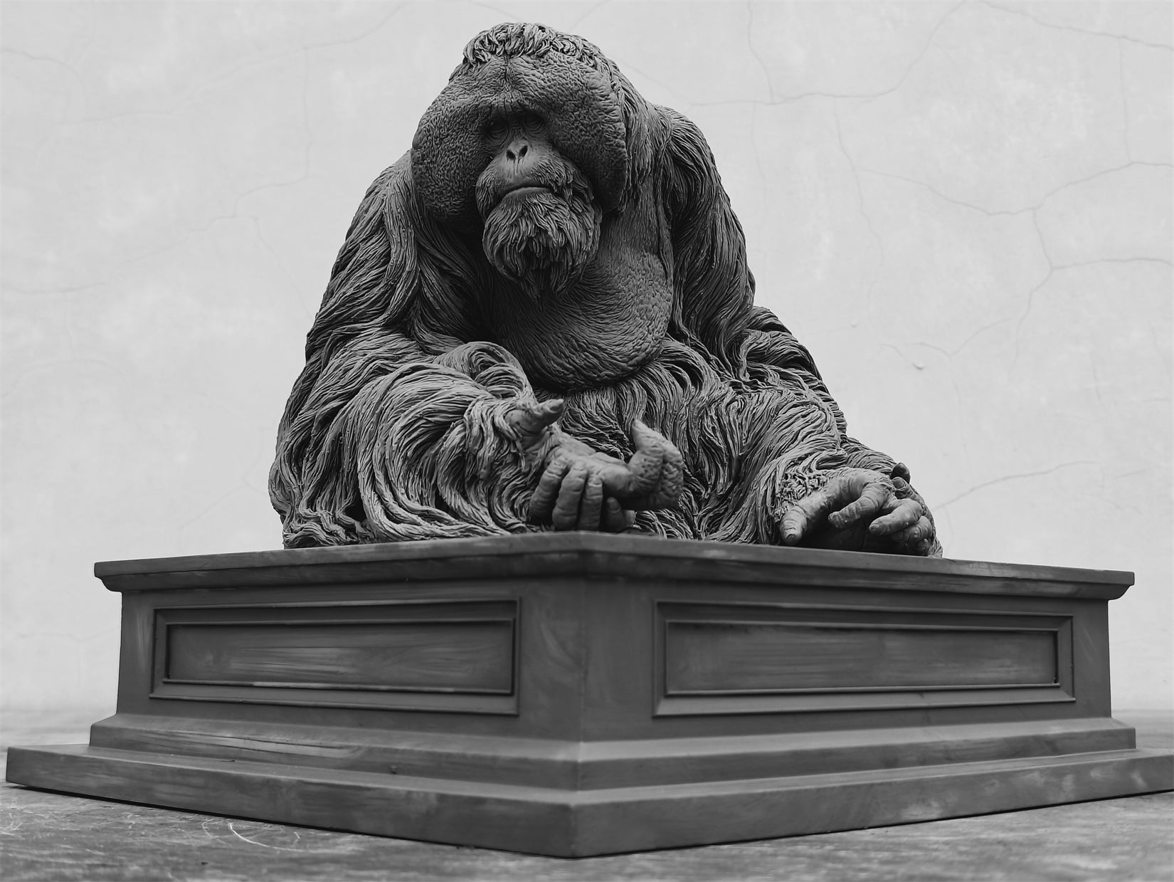 TUNAN Studio 1/6 Scale Bornean orangutan Model