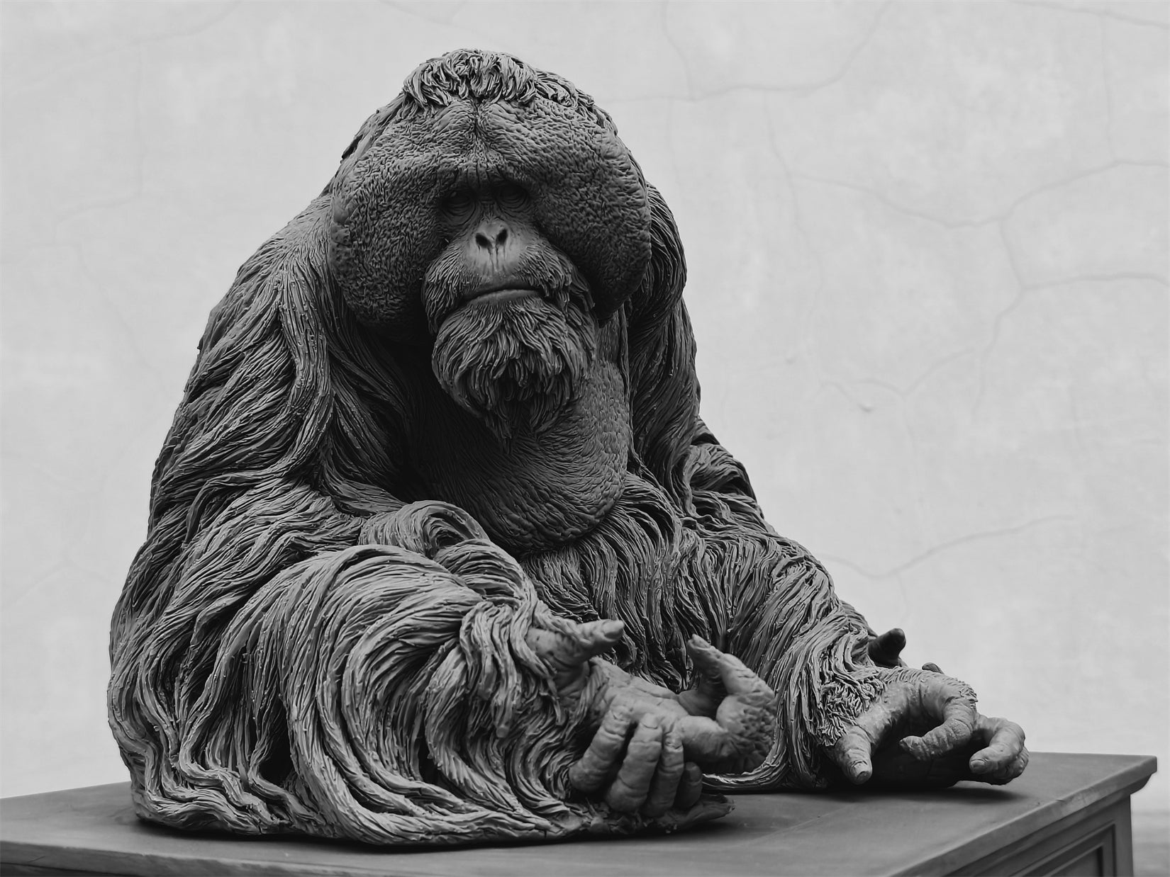 TUNAN Studio 1/6 Scale Bornean orangutan Model