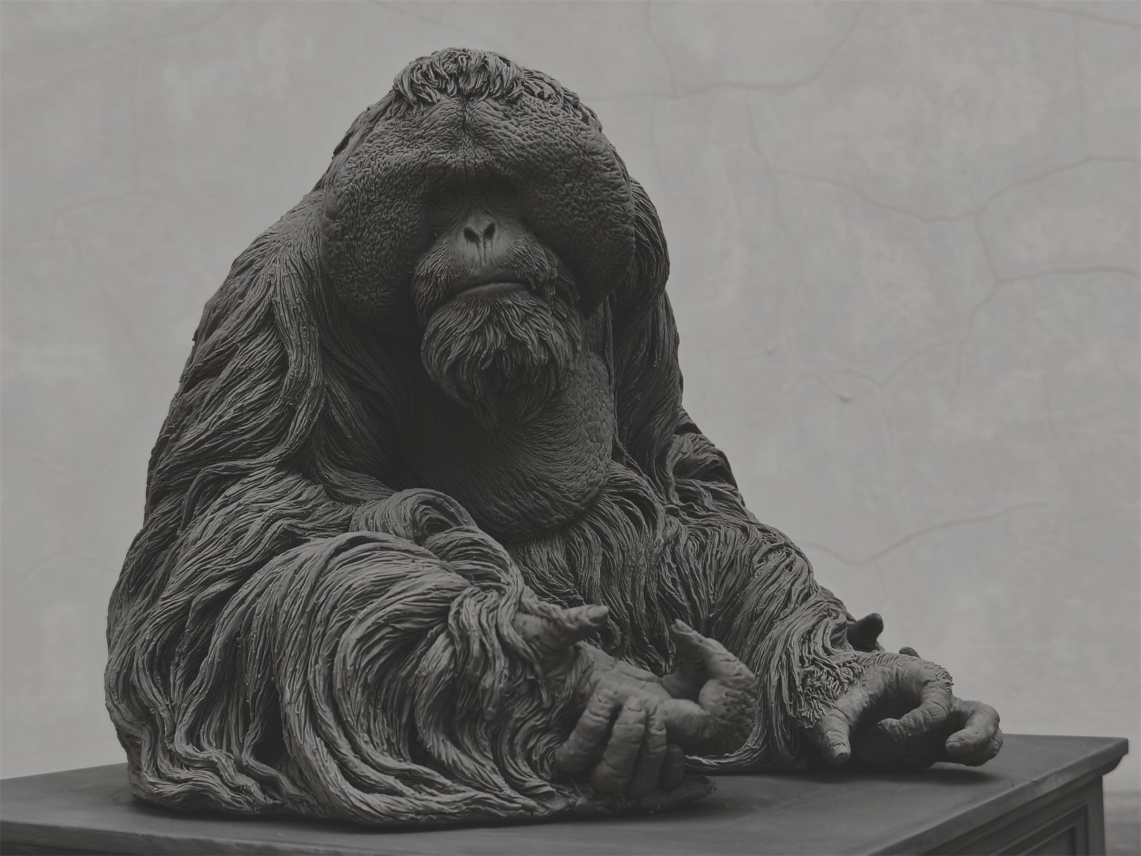TUNAN Studio 1/6 Scale Bornean orangutan Model