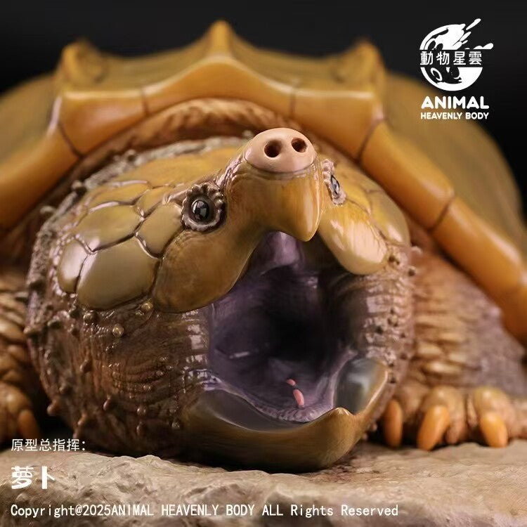 Animal Heavenly Body  Alligator Snapping Turtle Model