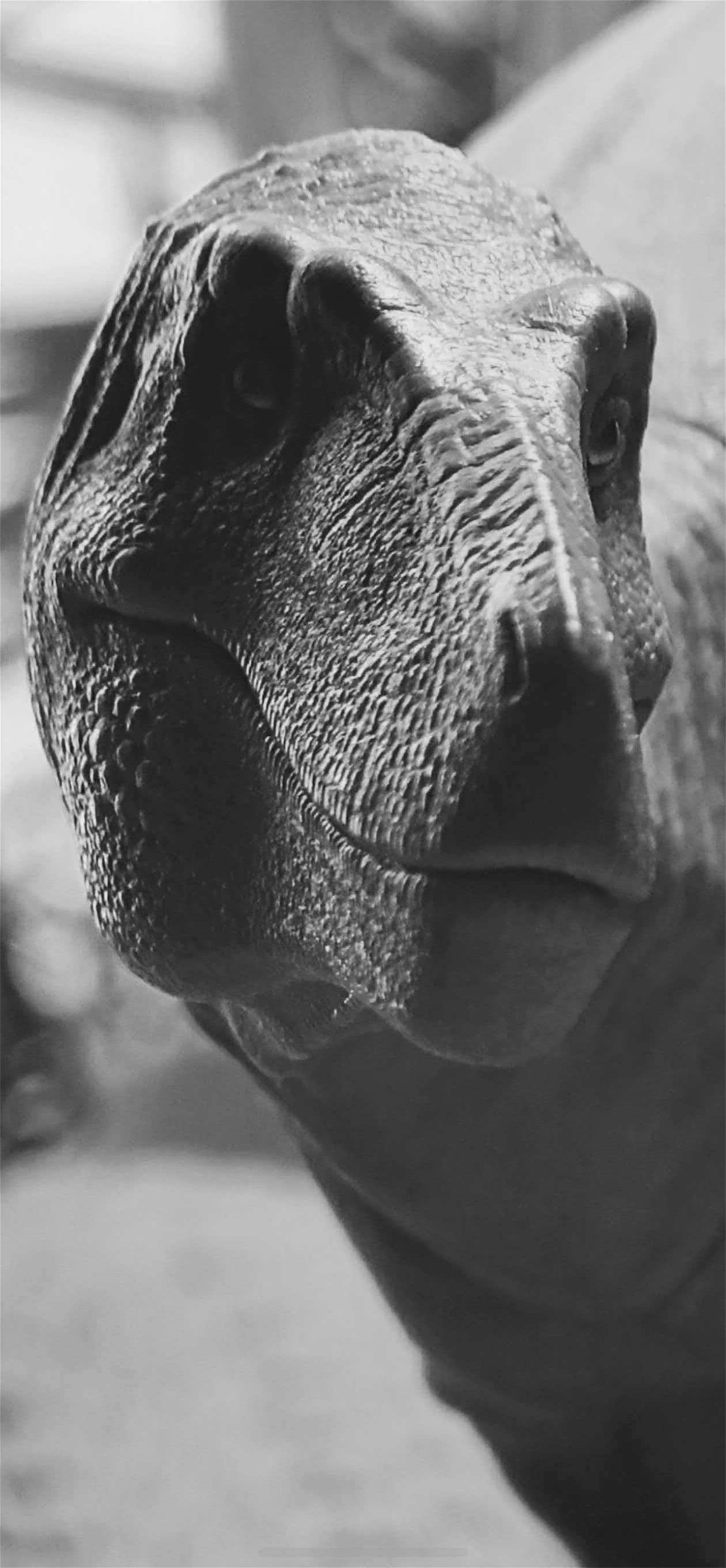 MK Studio 1:20 Scale Nanotyrannus Model