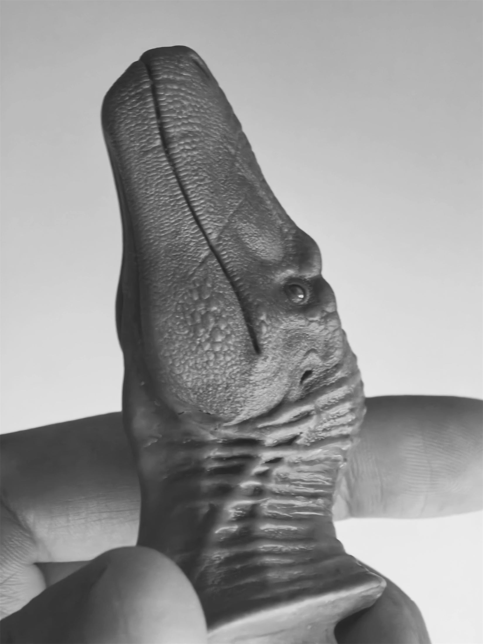 MK Studio 1:20 Scale Nanotyrannus Model