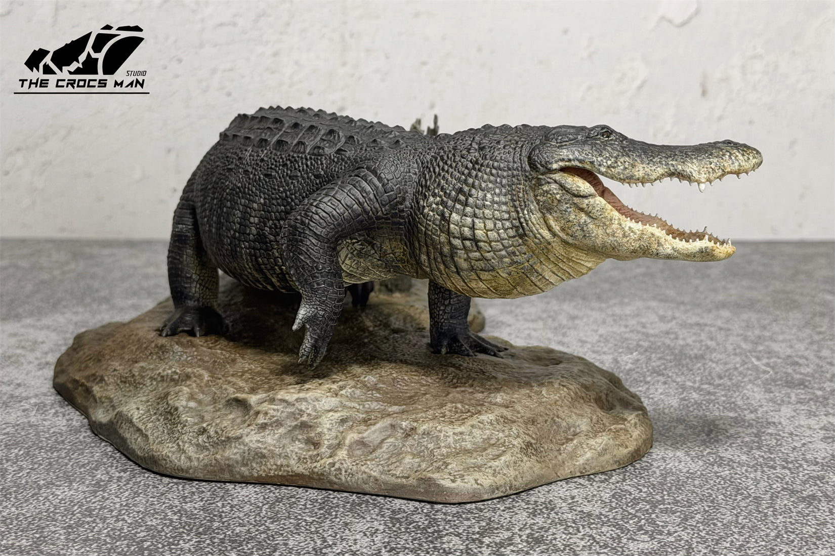 The Crocs Man Studio American Alligator Model