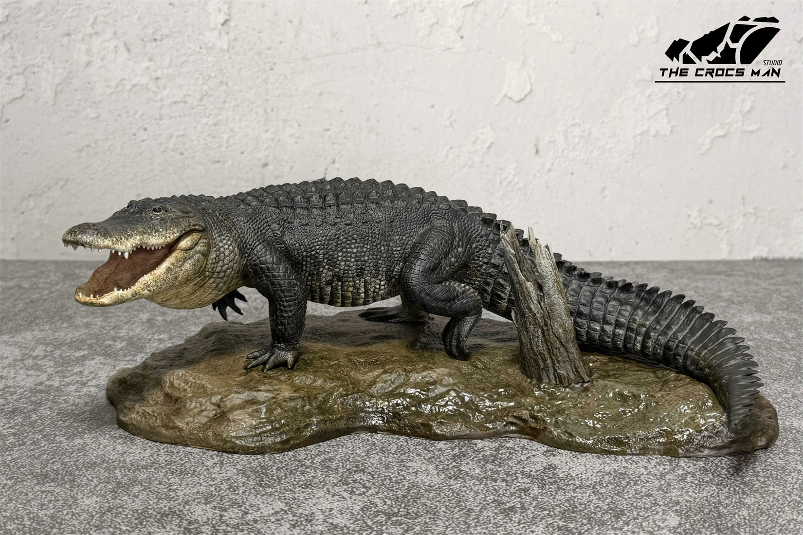 The Crocs Man Studio American Alligator Model