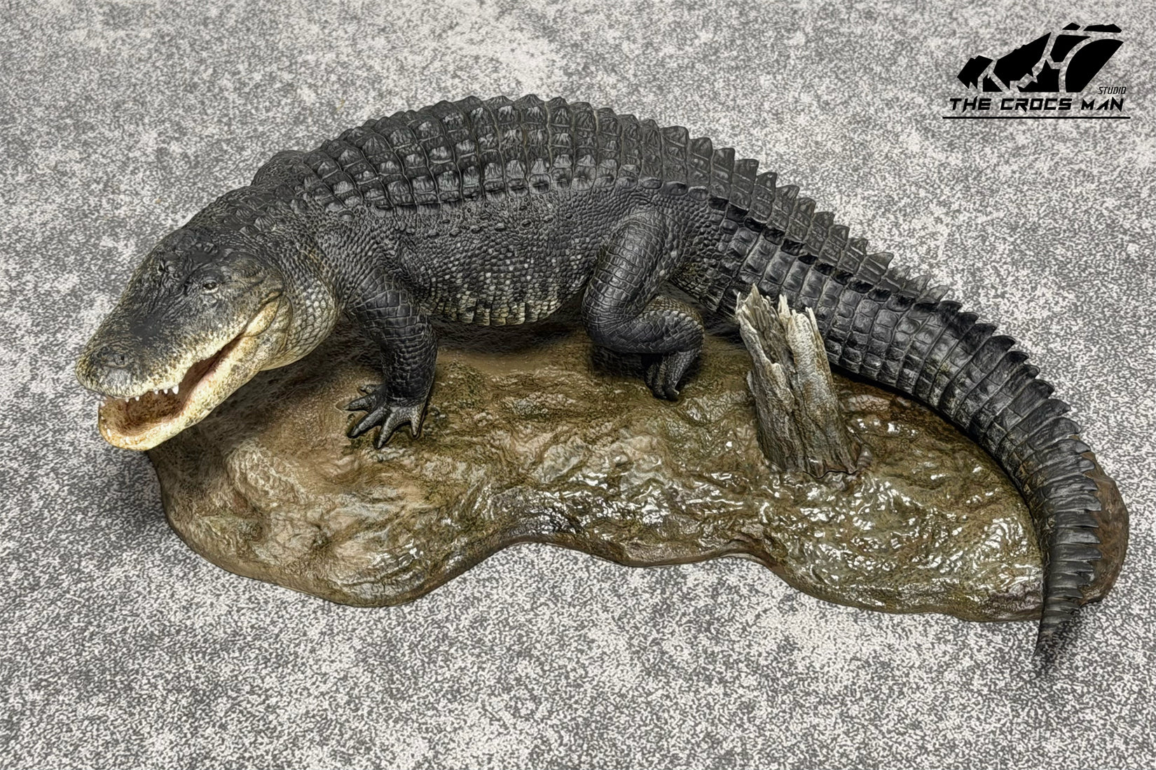 The Crocs Man Studio American Alligator Model