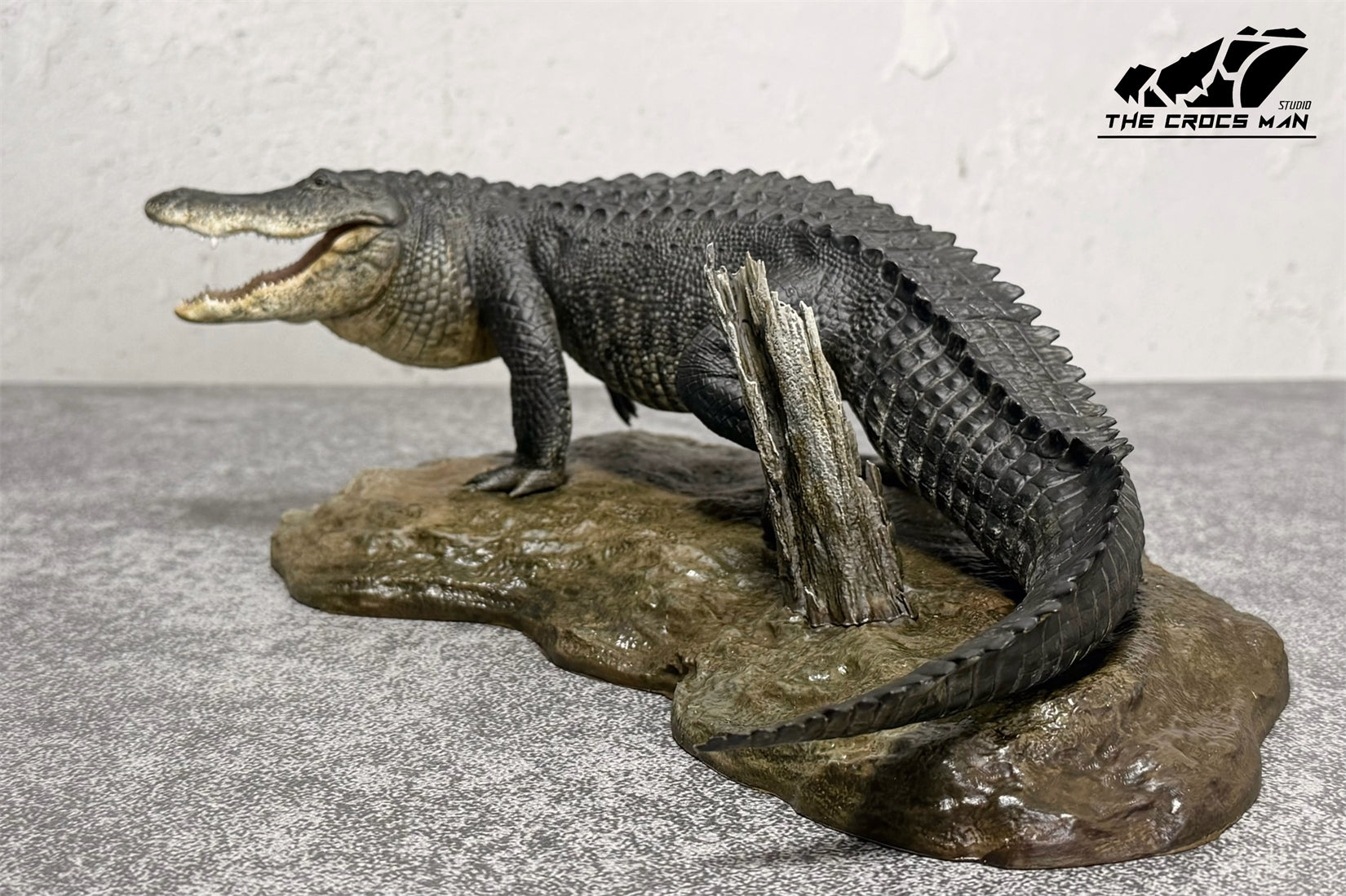 The Crocs Man Studio American Alligator Model