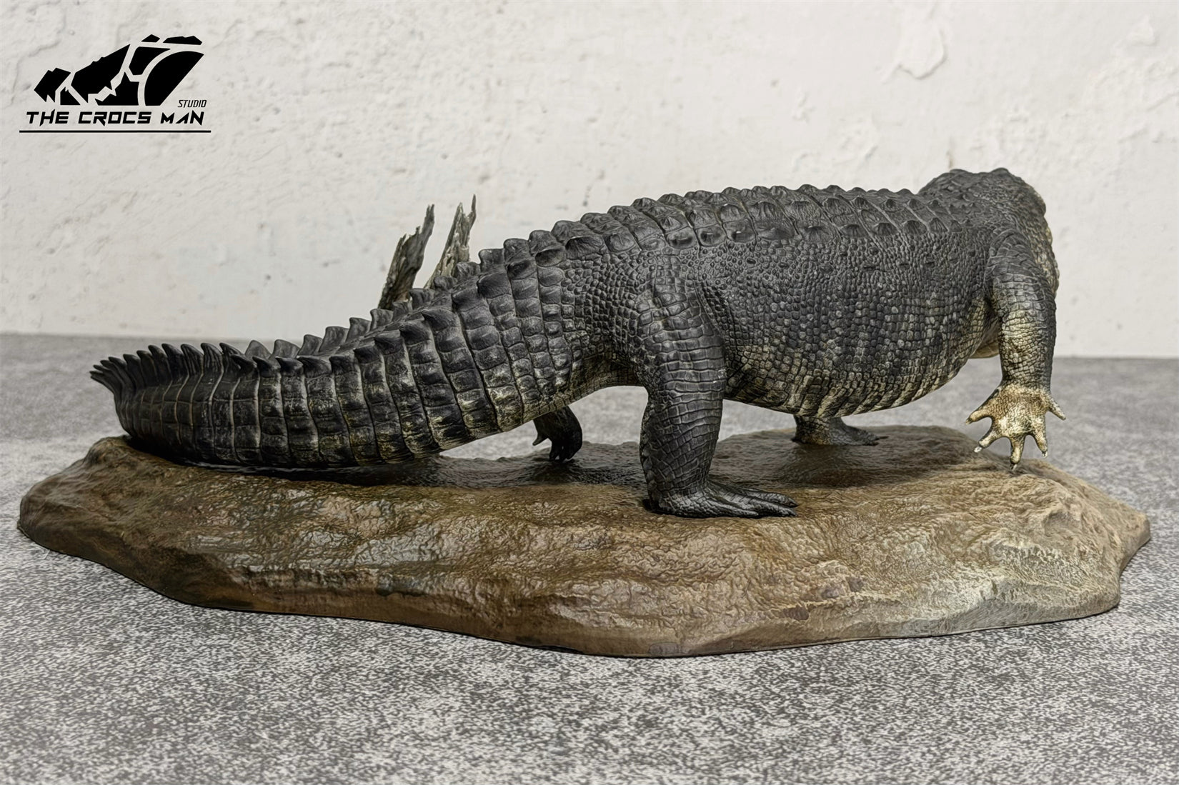 The Crocs Man Studio American Alligator Model