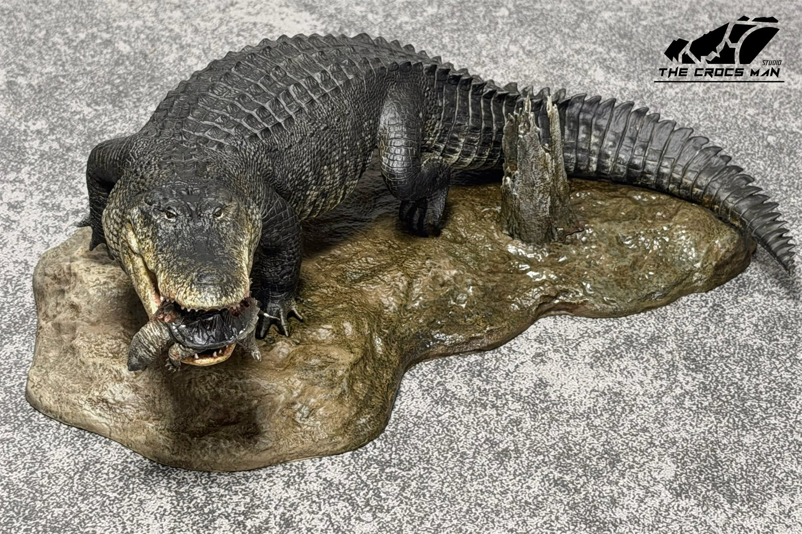The Crocs Man Studio American Alligator Model