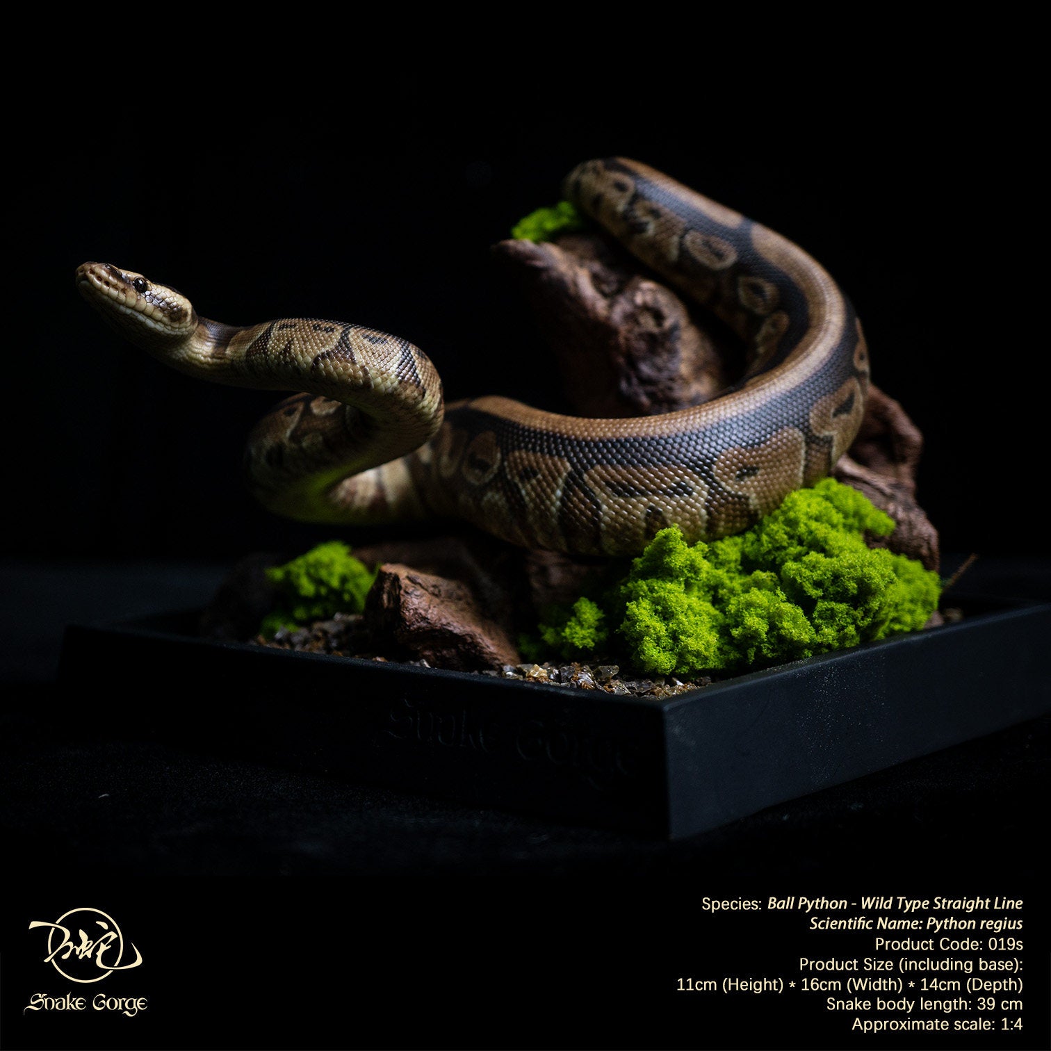 Snake Gorge Ball python Model