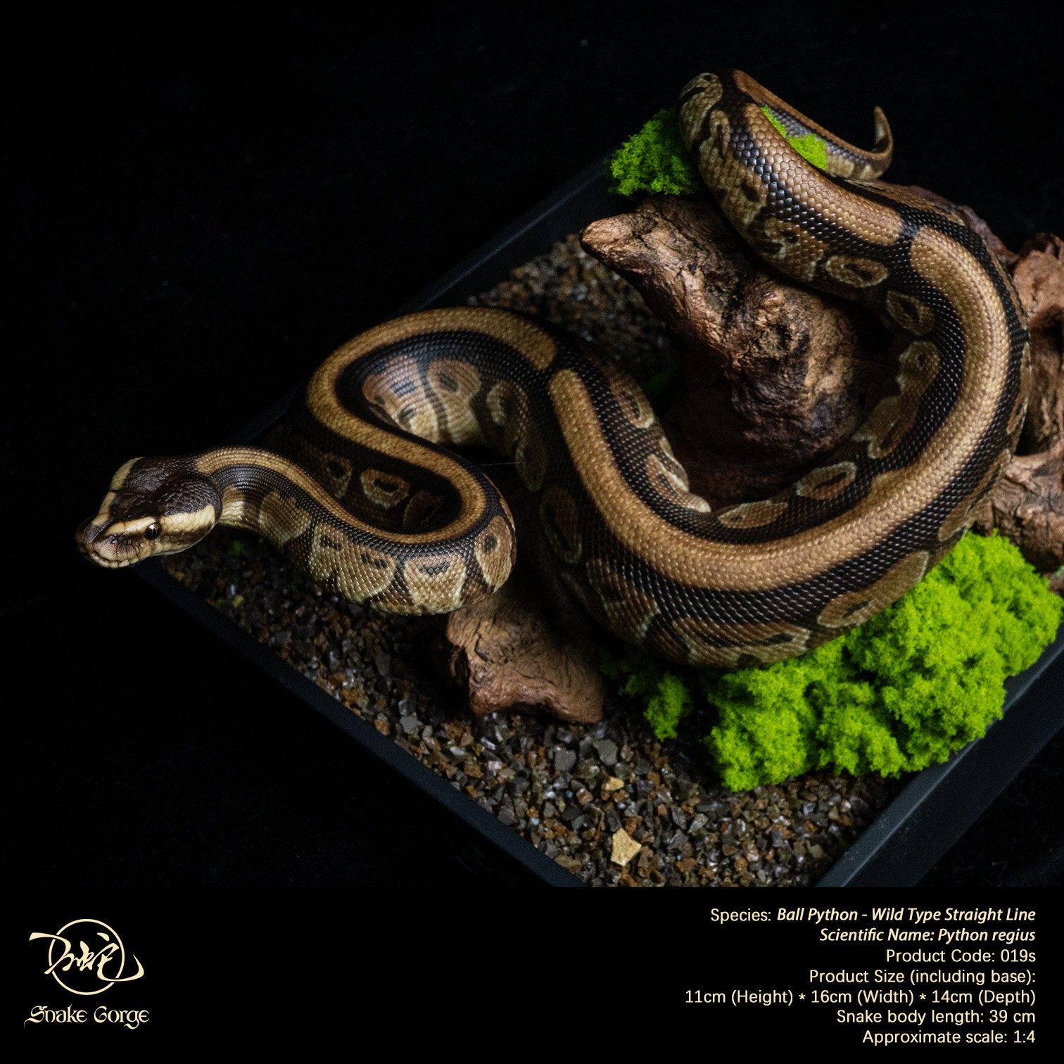 Snake Gorge Ball python Model