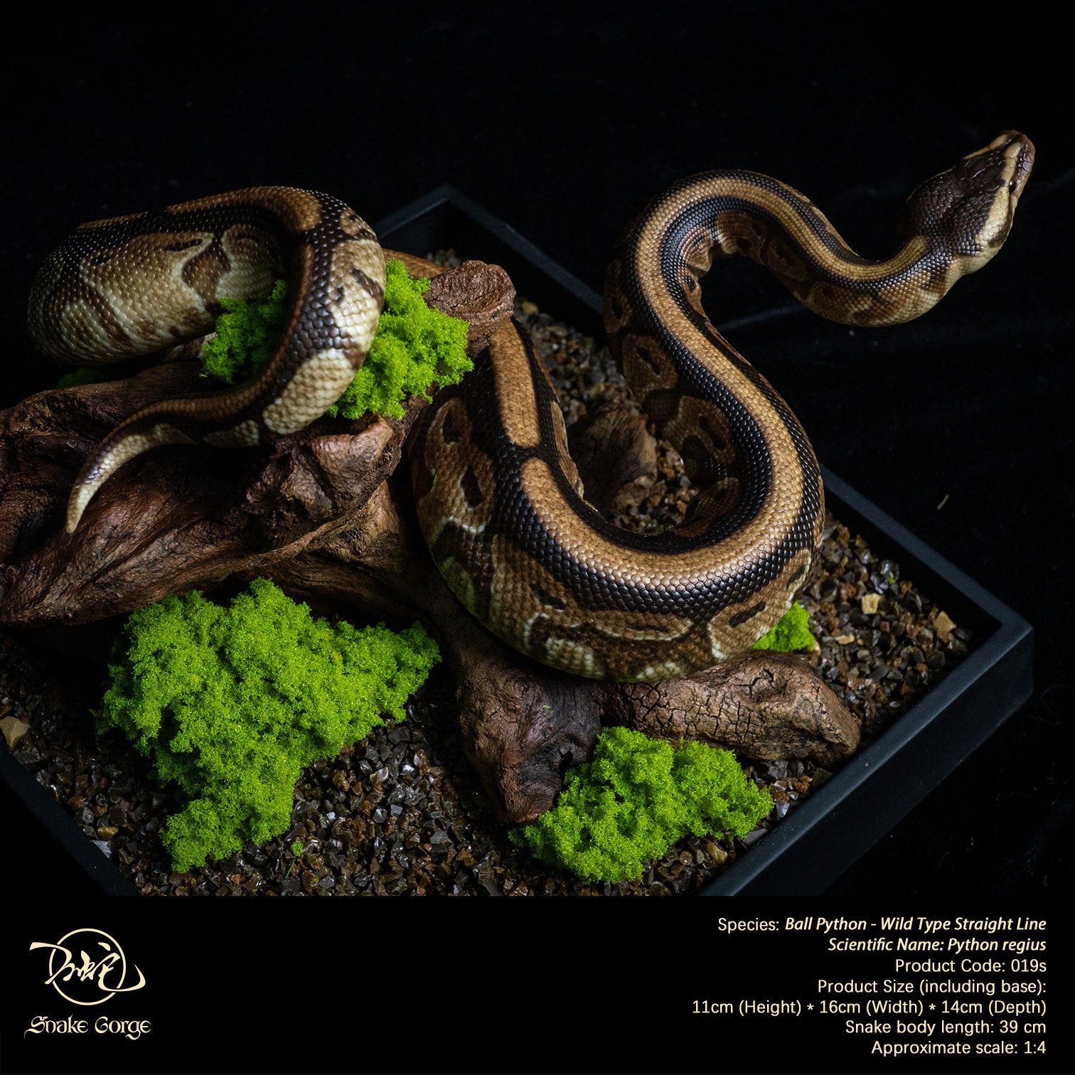 Snake Gorge Ball python Model