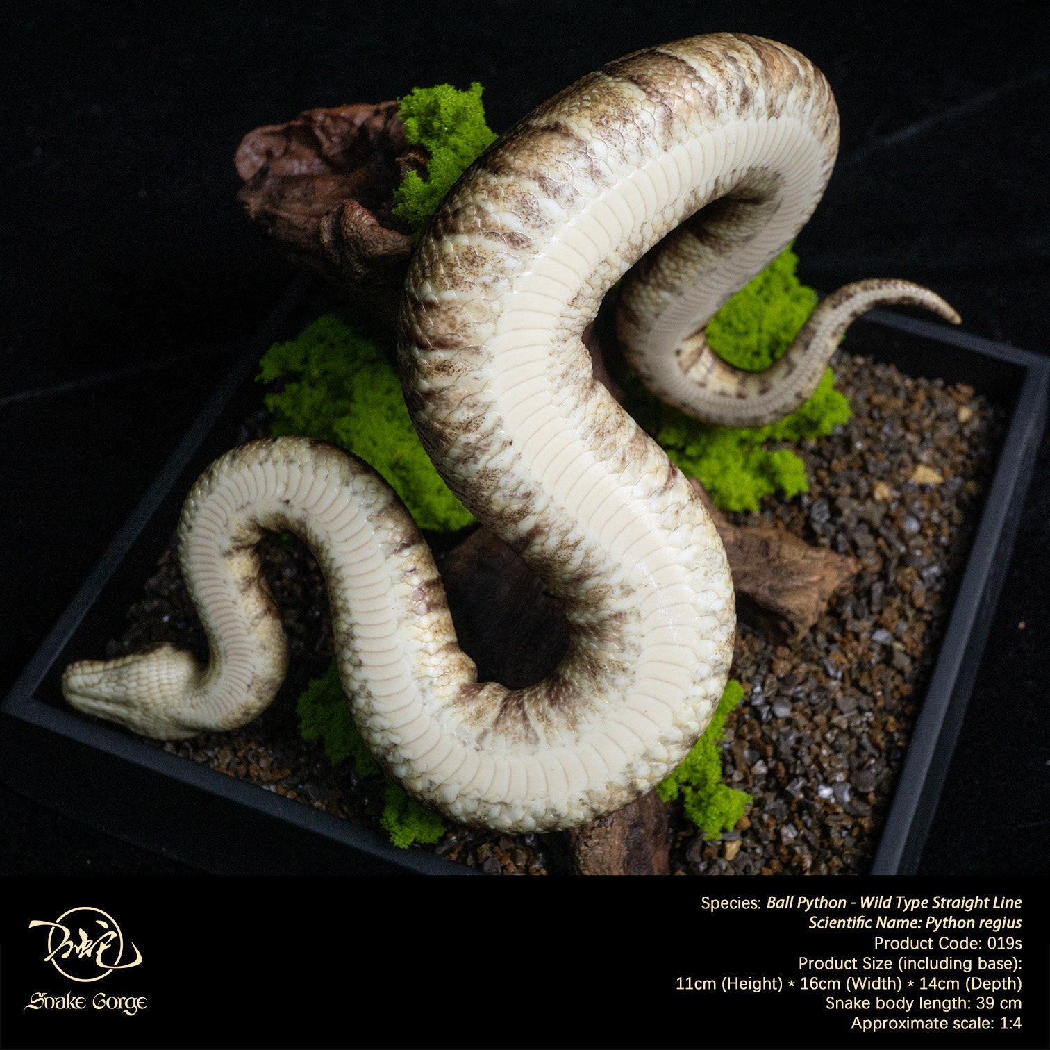 Snake Gorge Ball python Model