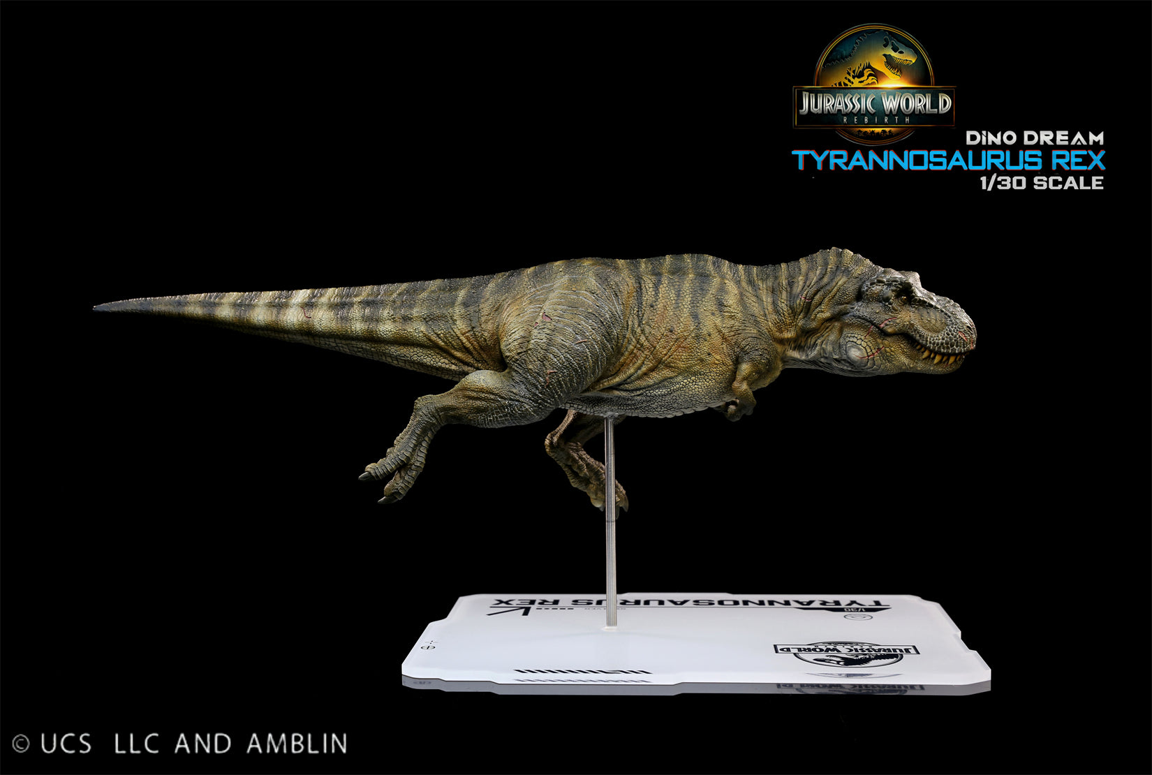 DINO DREAM 1:30 Scale JW4 Rebirth Tyrannosaurus Rex Swim Ver Model