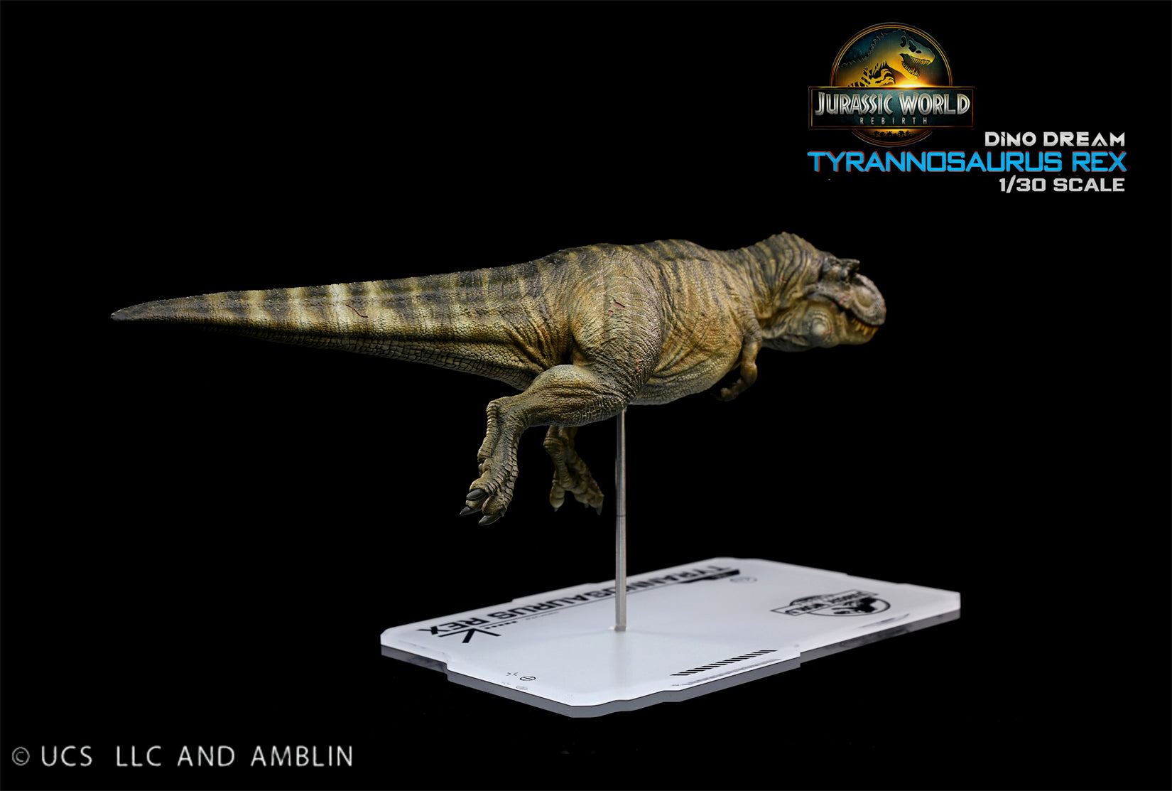 DINO DREAM 1:30 Scale JW4 Rebirth Tyrannosaurus Rex Swim Ver Model