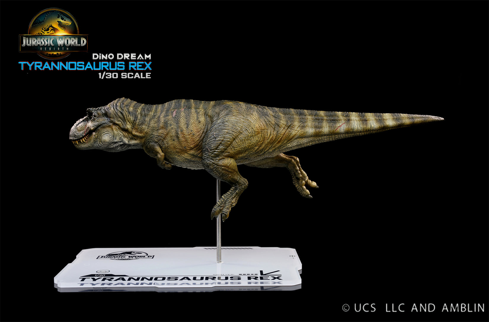 DINO DREAM 1:30 Scale JW4 Rebirth Tyrannosaurus Rex Swim Ver Model
