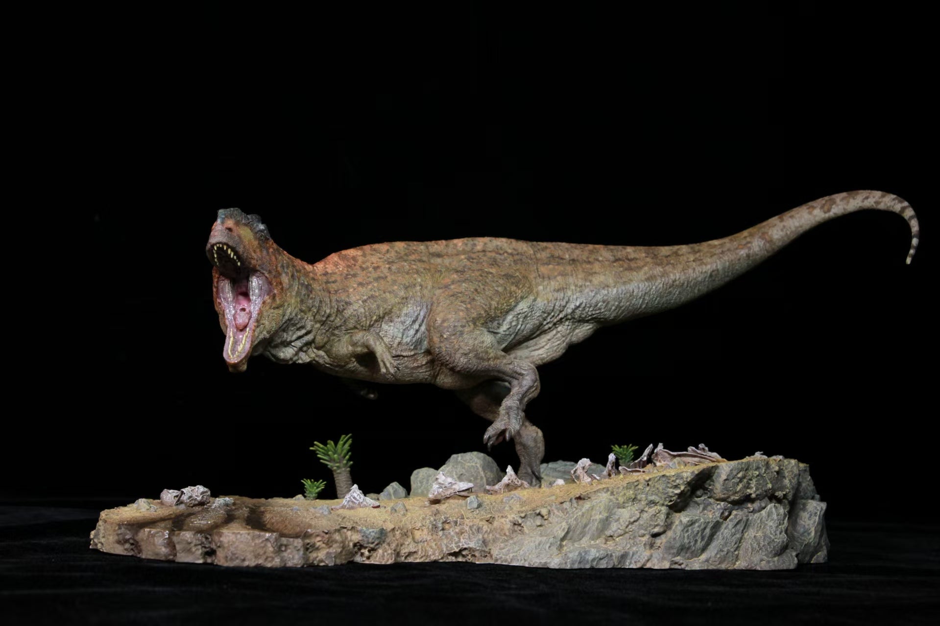 SHOWANNA Giganotosaurus Model