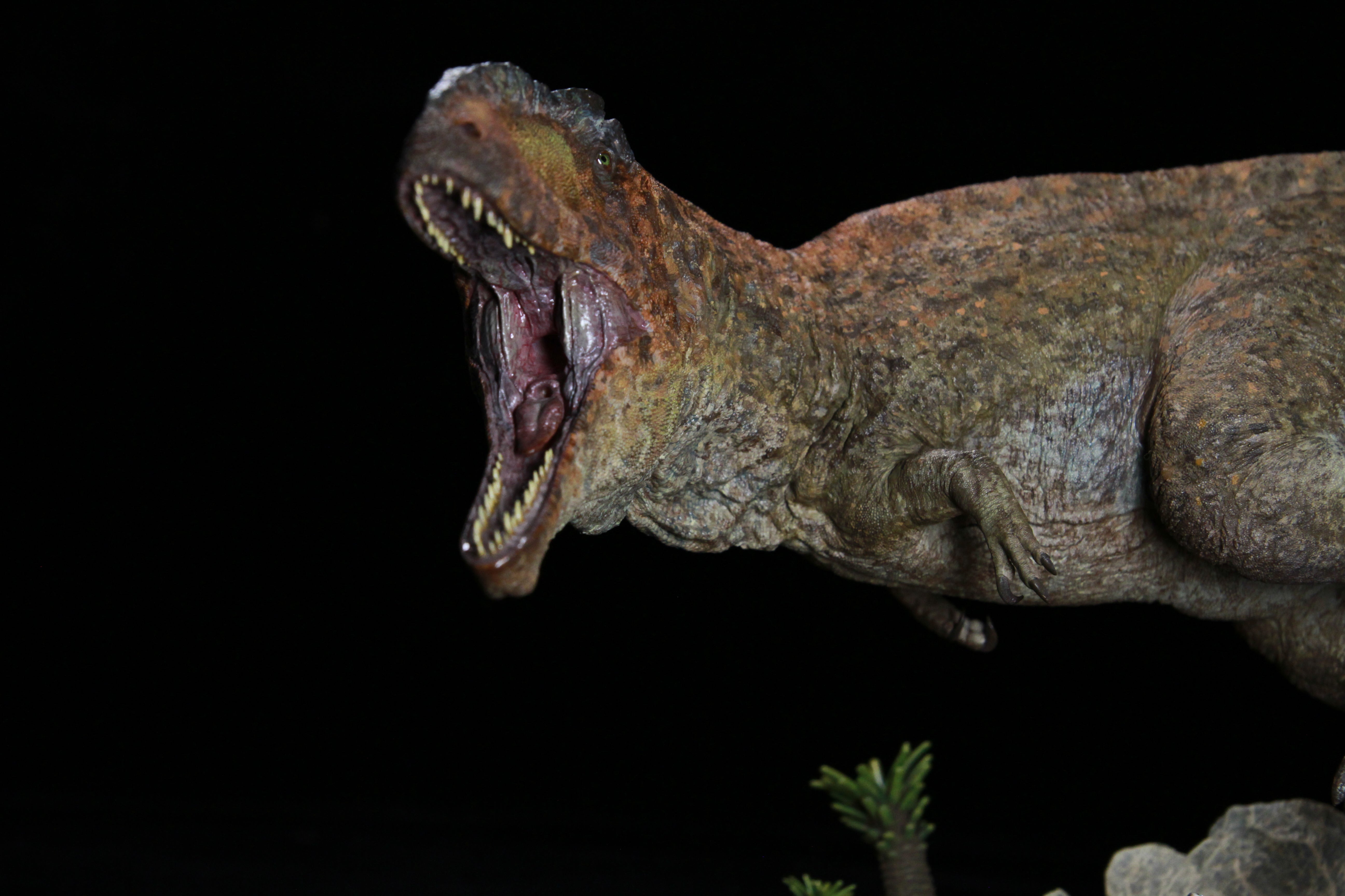 SHOWANNA Giganotosaurus Model