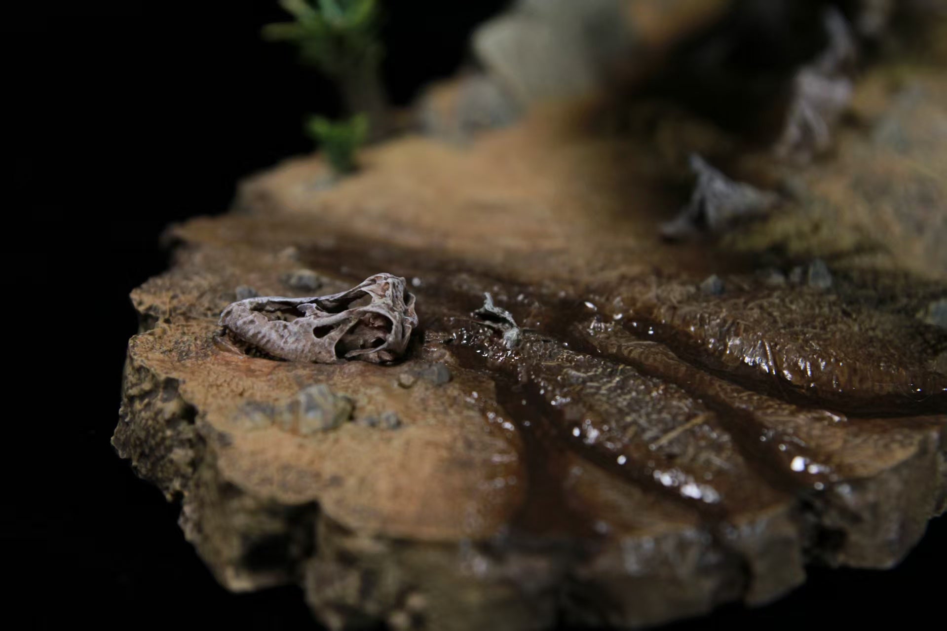 SHOWANNA Giganotosaurus Model
