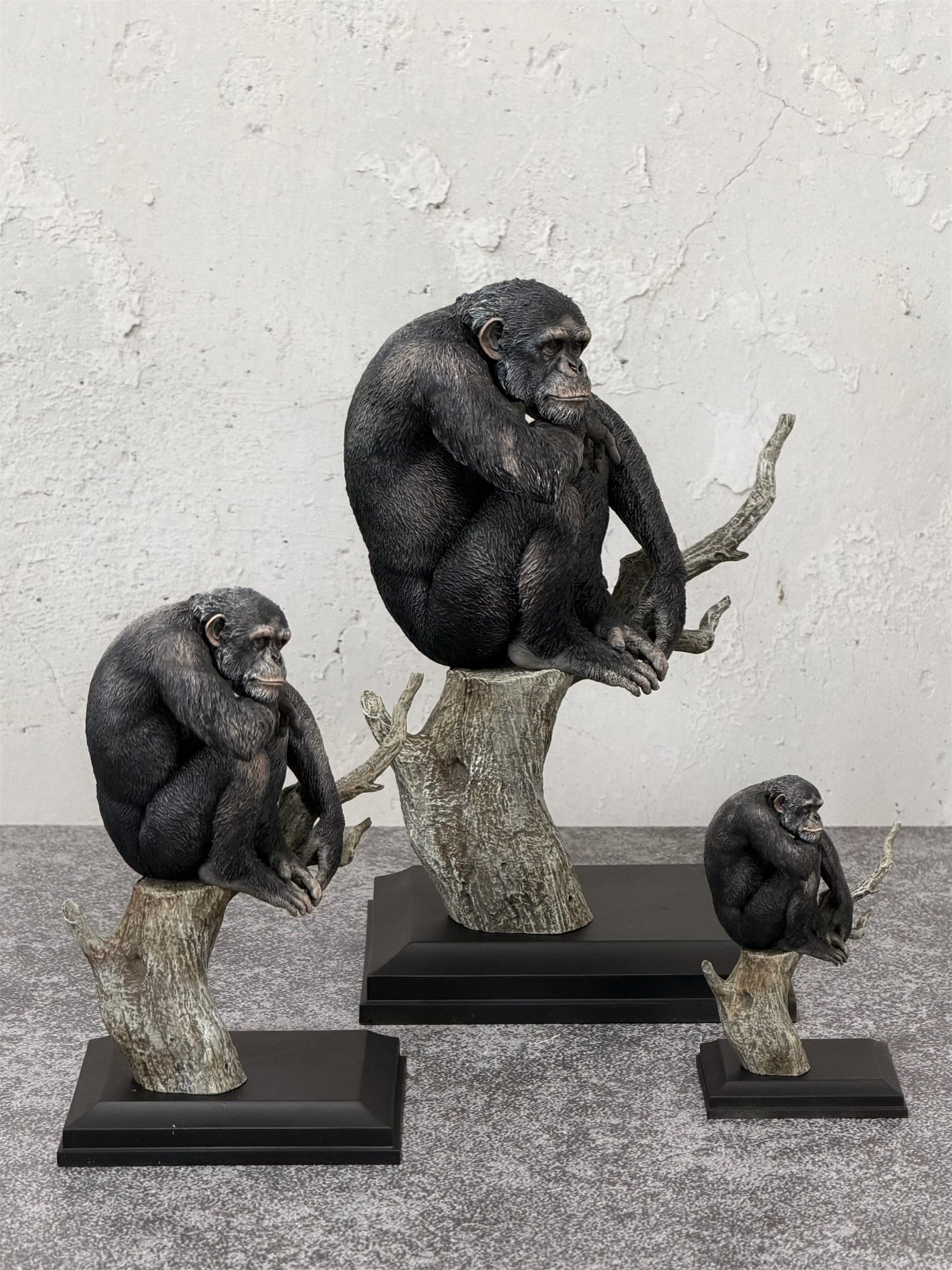 APHID STUDIO Chimpanzee Model
