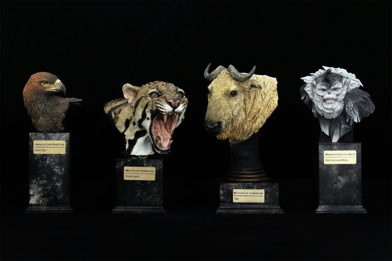 In the Wilds of China Series 01 Endangered Wildlife Art Sculpture Model