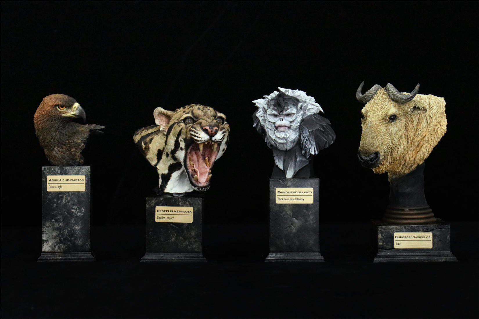 In the Wilds of China Series 01 Endangered Wildlife Art Sculpture Model