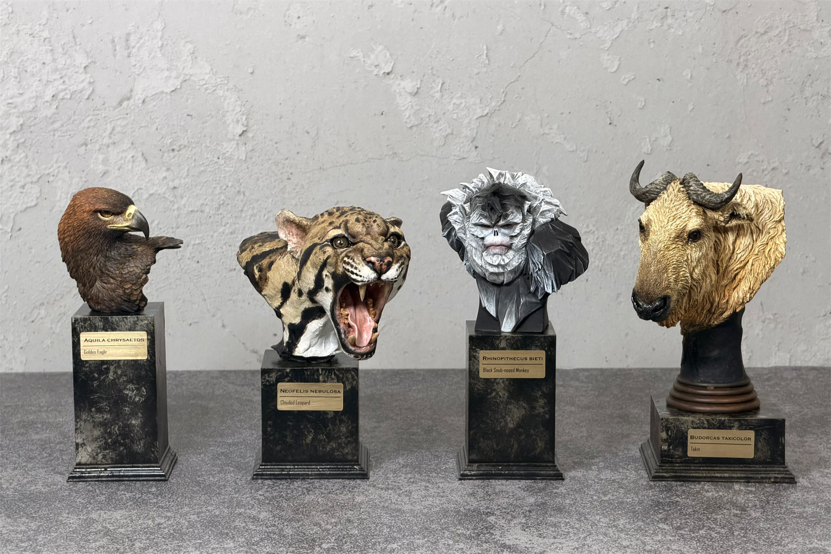 In the Wilds of China Series 01 Endangered Wildlife Art Sculpture Model