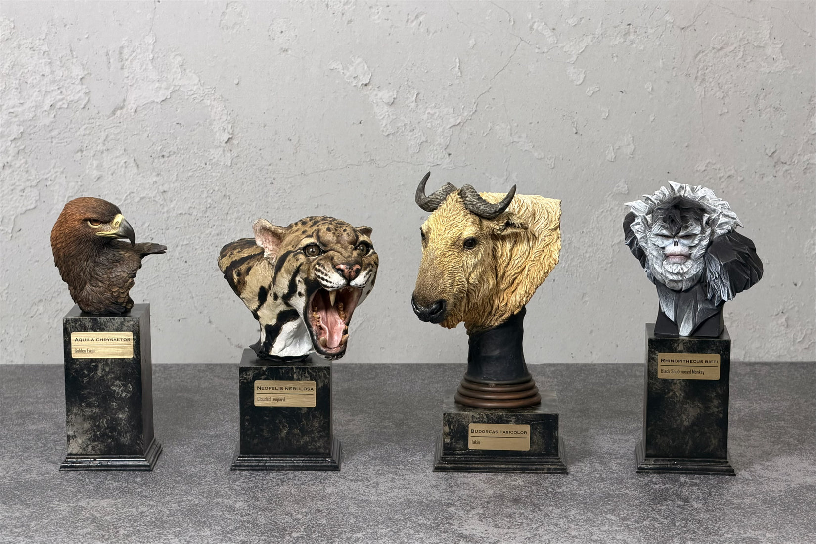 In the Wilds of China Series 01 Endangered Wildlife Art Sculpture Model