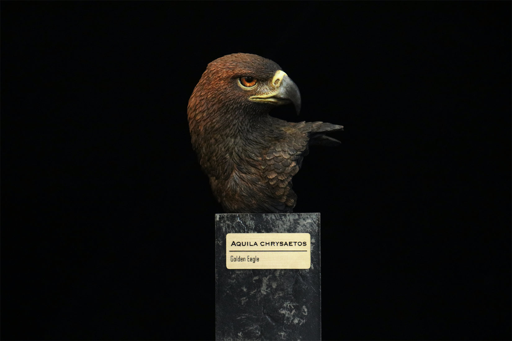 In the Wilds of China Series 01 Endangered Wildlife Art Sculpture Model