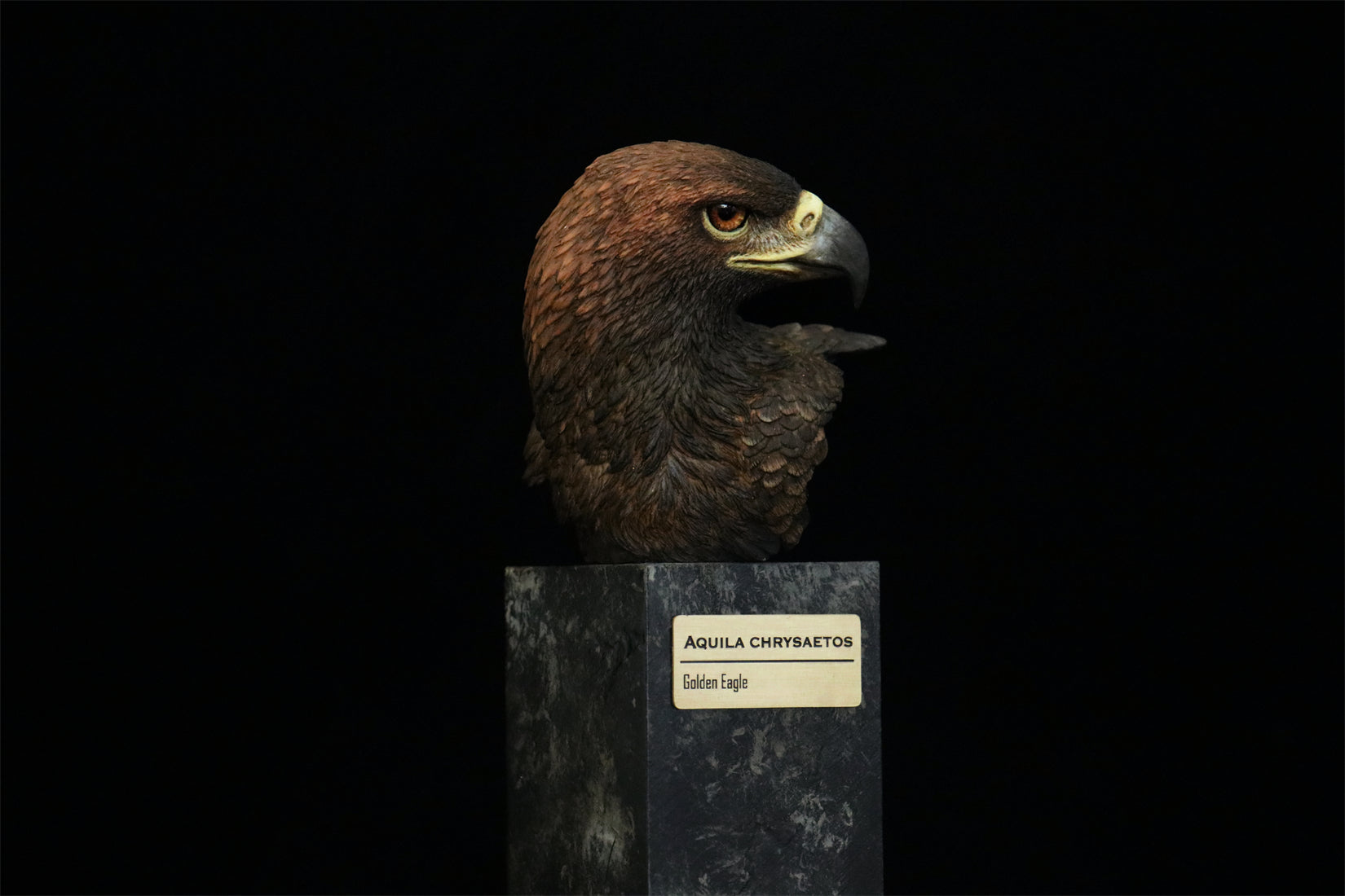 In the Wilds of China Series 01 Endangered Wildlife Art Sculpture Model