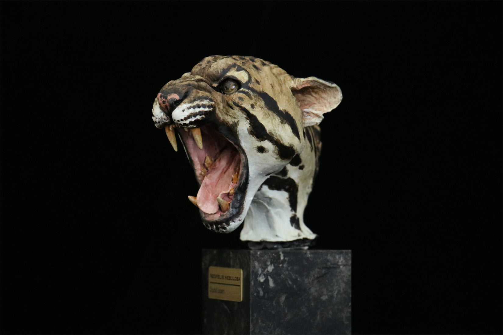 In the Wilds of China Series 01 Endangered Wildlife Art Sculpture Model