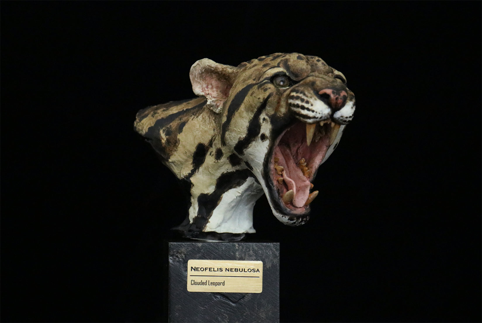 In the Wilds of China Series 01 Endangered Wildlife Art Sculpture Model