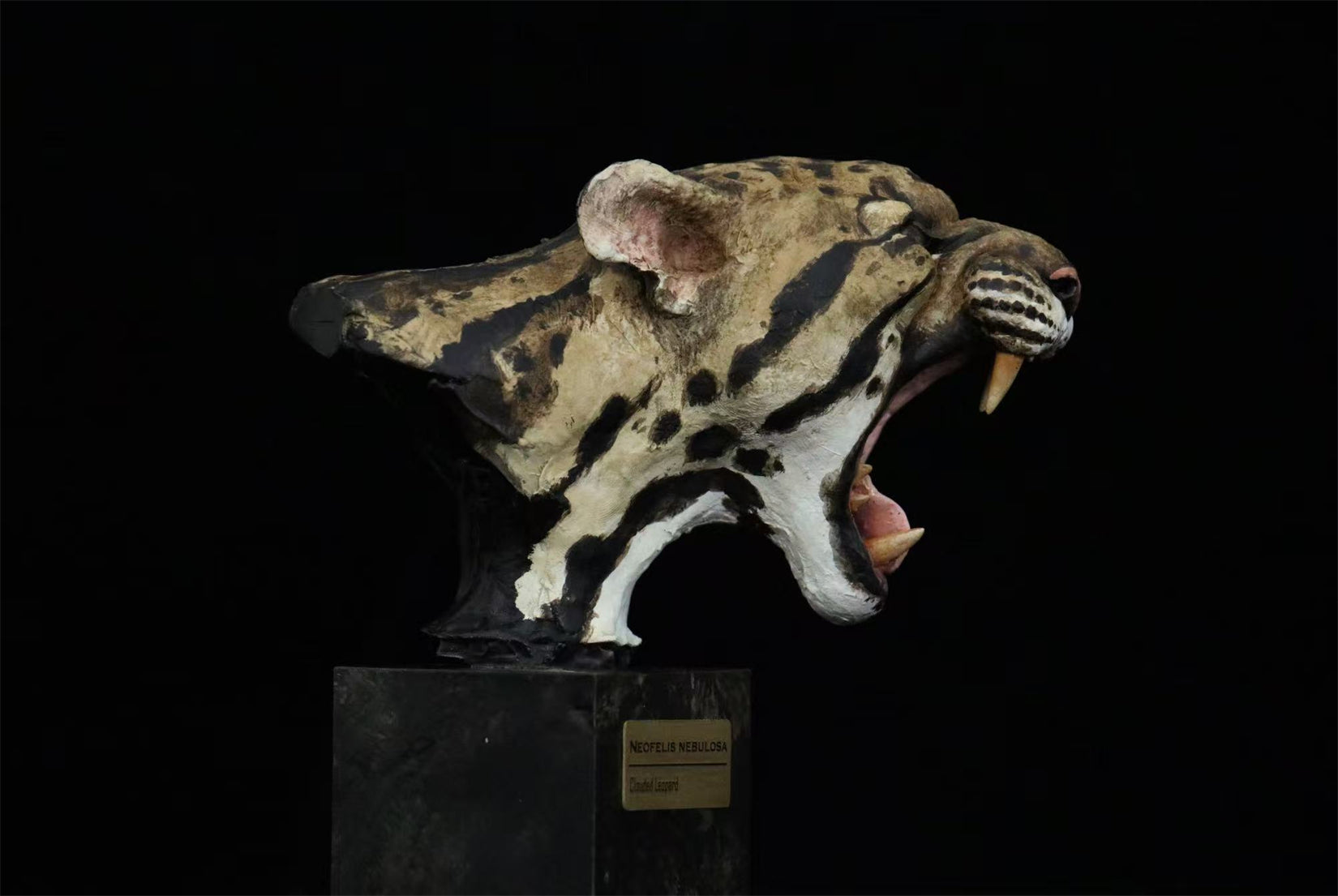 In the Wilds of China Series 01 Endangered Wildlife Art Sculpture Model