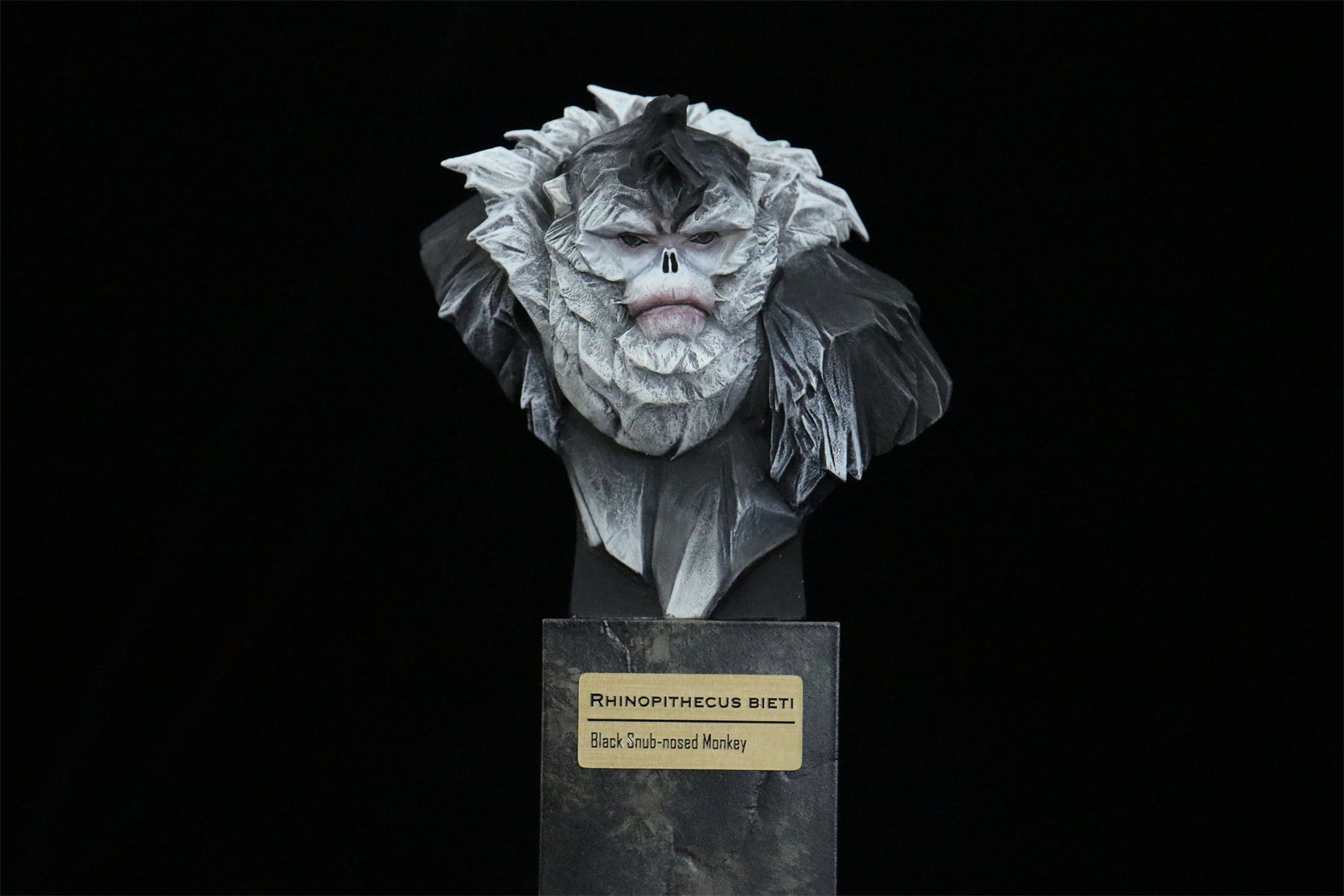 In the Wilds of China Series 01 Endangered Wildlife Art Sculpture Model