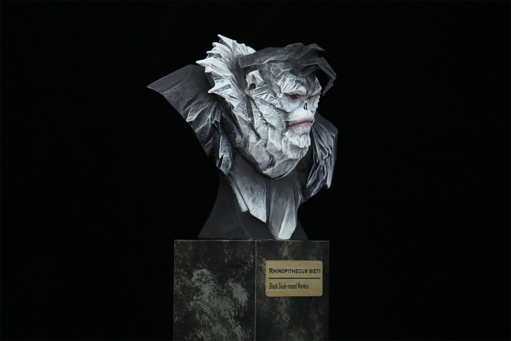 In the Wilds of China Series 01 Endangered Wildlife Art Sculpture Model