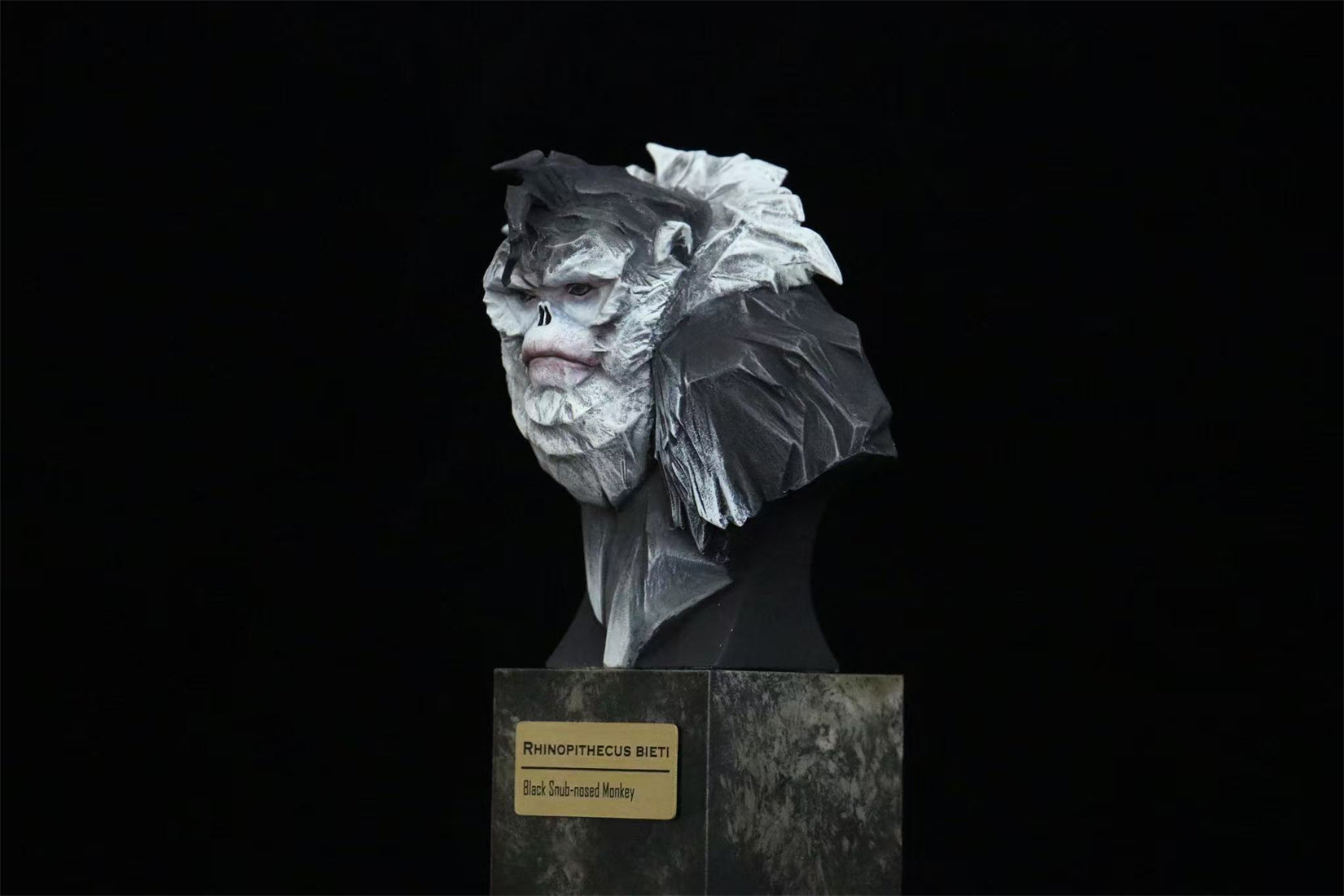 In the Wilds of China Series 01 Endangered Wildlife Art Sculpture Model