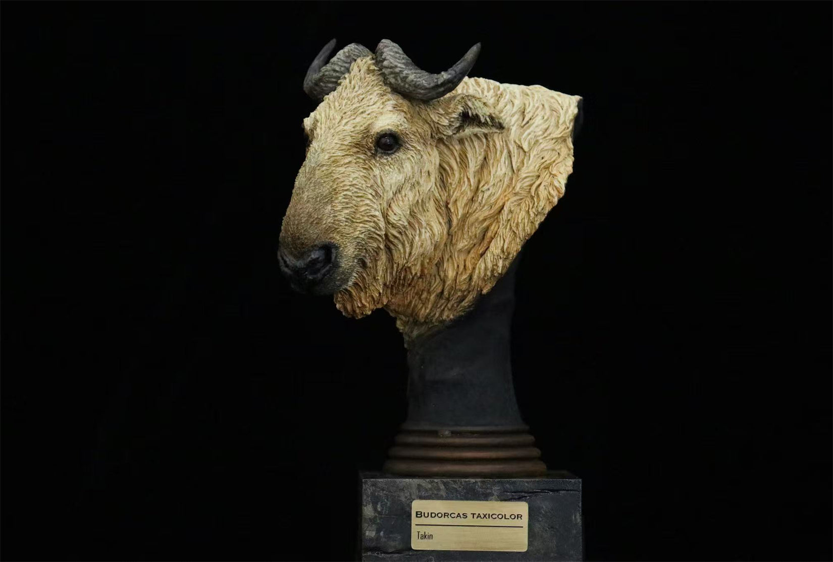 In the Wilds of China Series 01 Endangered Wildlife Art Sculpture Model
