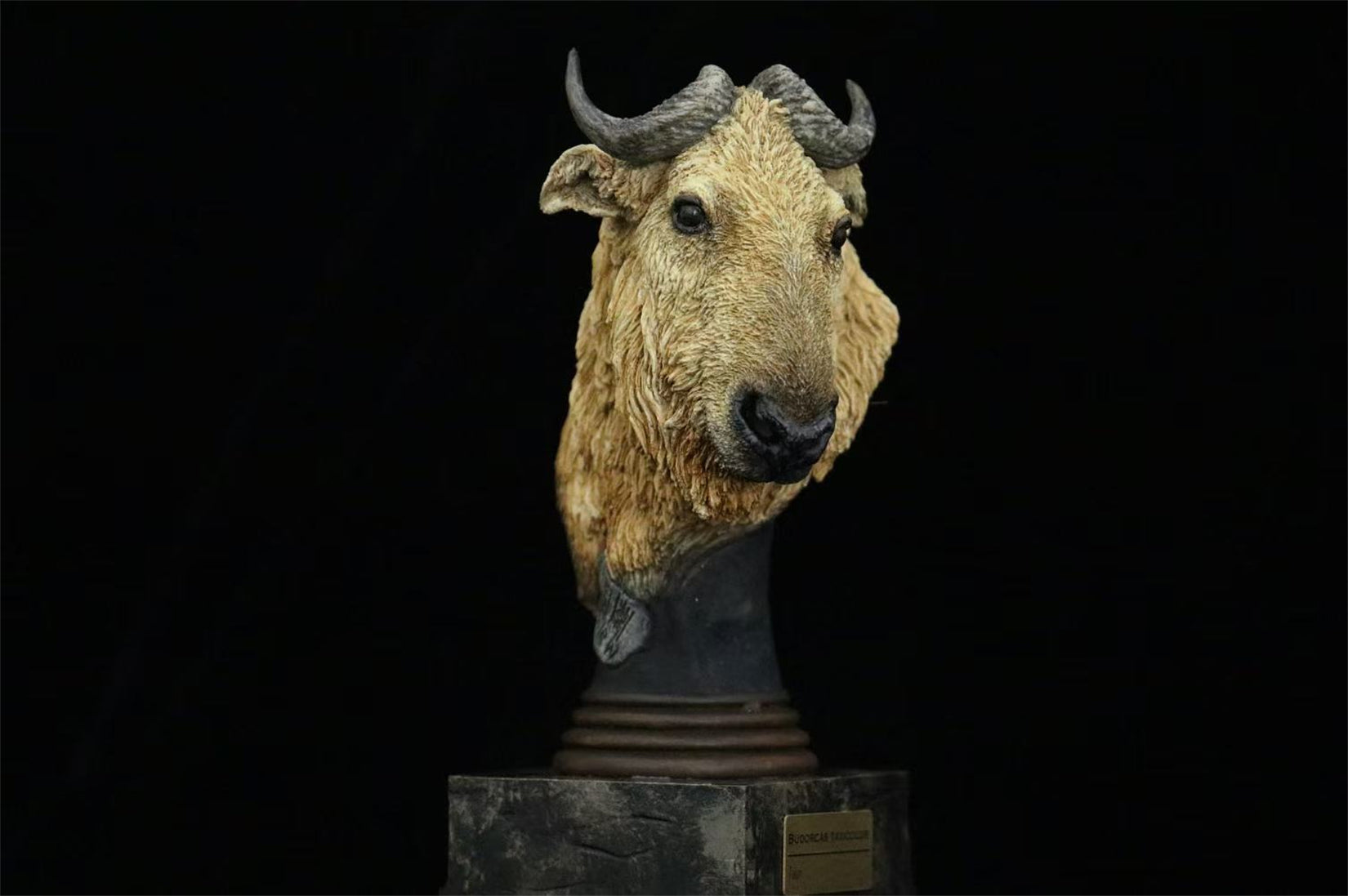 In the Wilds of China Series 01 Endangered Wildlife Art Sculpture Model