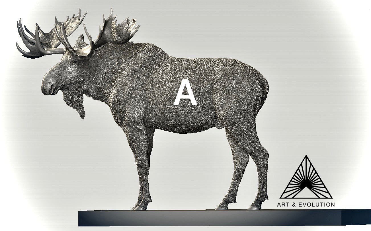 Art&Evolution Studio Moose Model