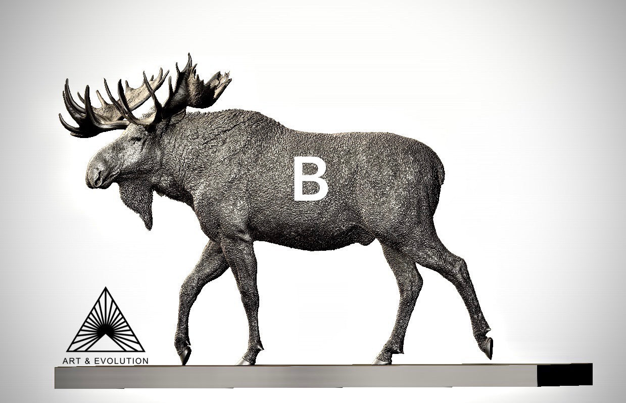 Art&Evolution Studio Moose Model