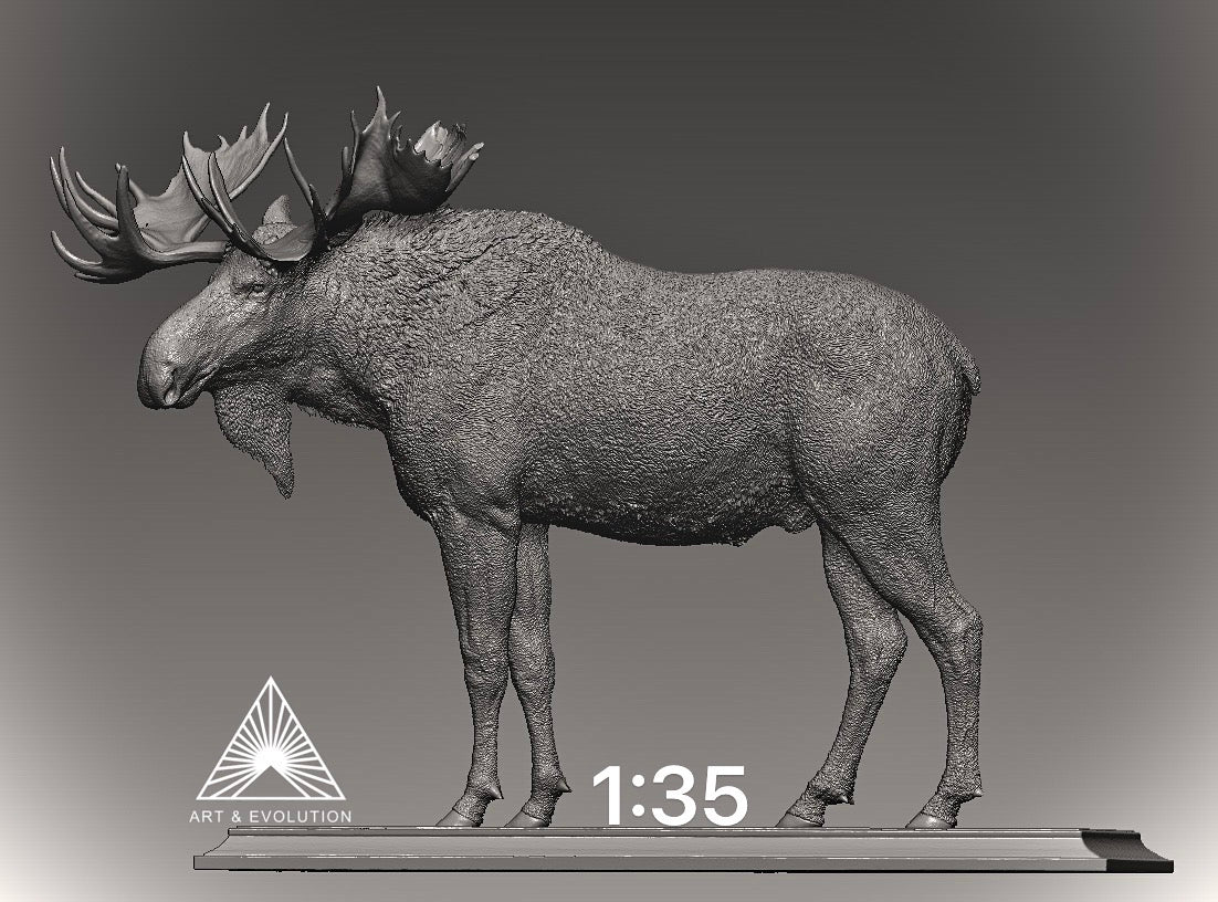 Art&Evolution Studio Moose Model