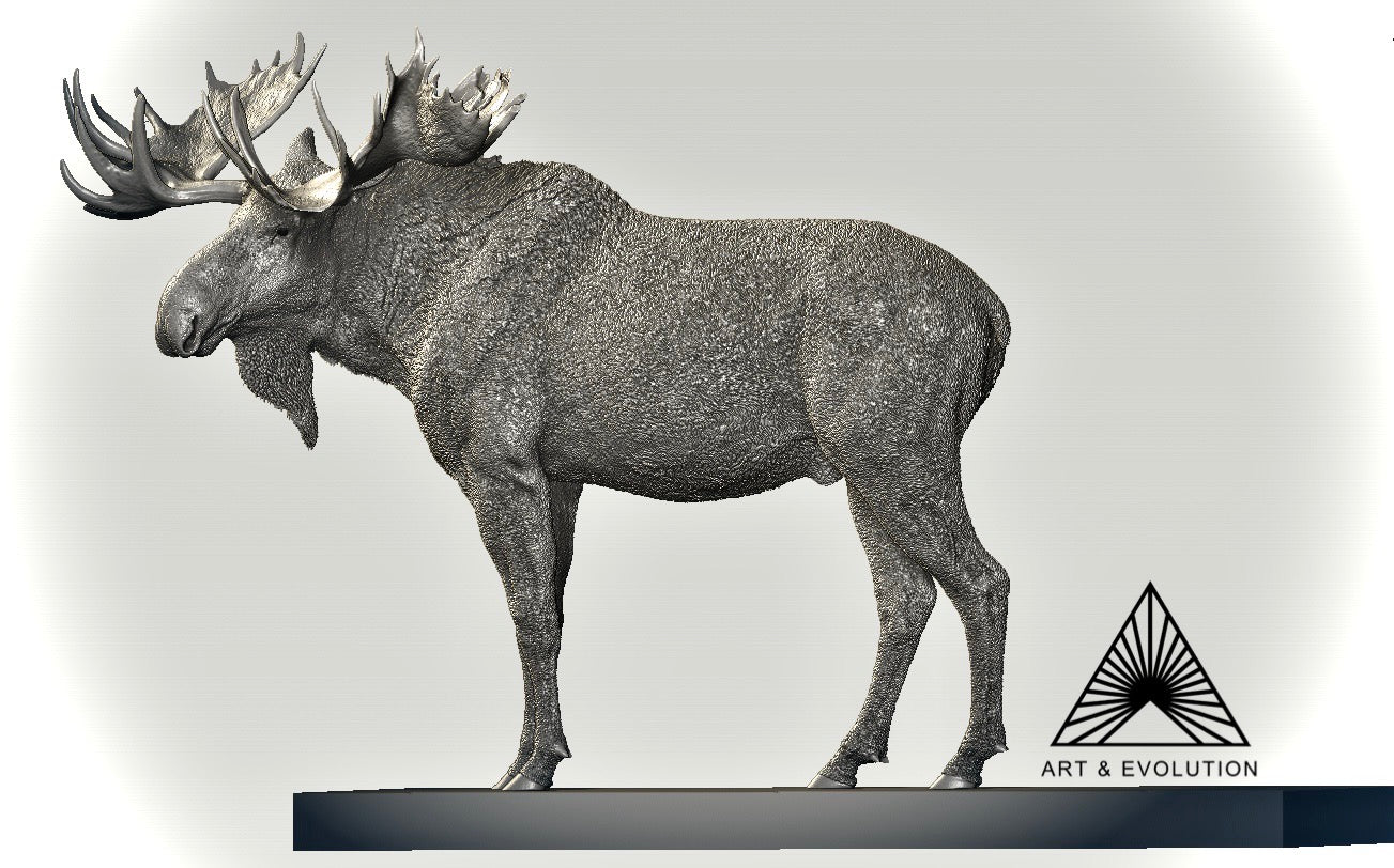 Art&Evolution Studio Moose Model