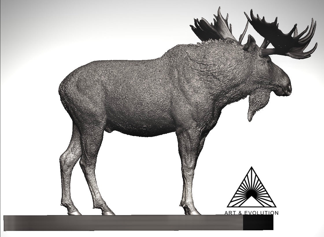 Art&Evolution Studio Moose Model