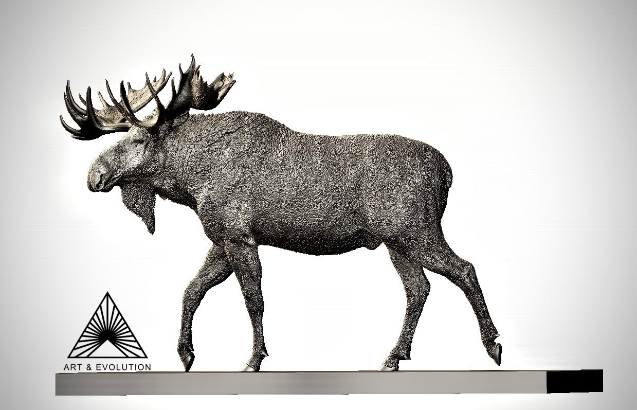 Art&Evolution Studio Moose Model