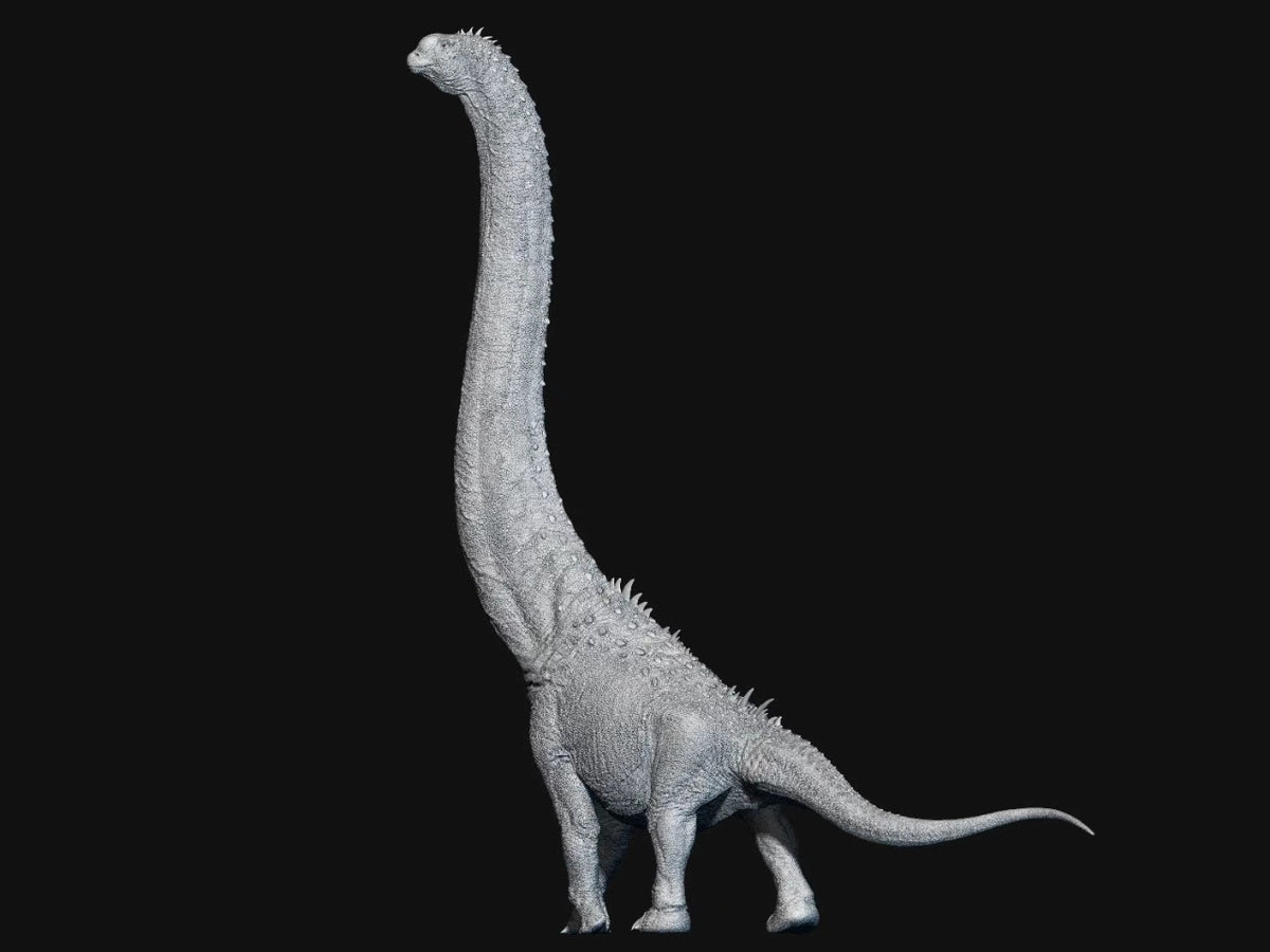 SHOWANNA 1/35 Scale Sauroposeidon Model