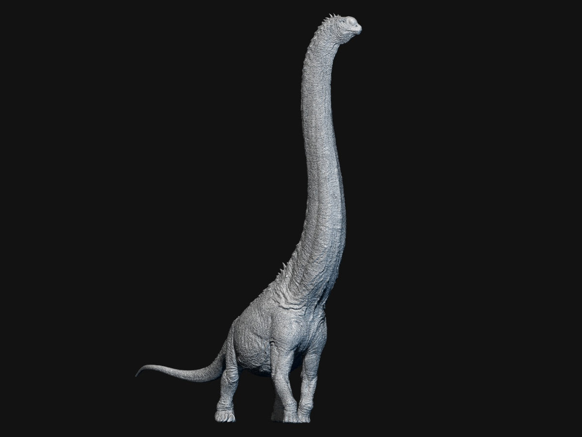 SHOWANNA 1/35 Scale Sauroposeidon Model