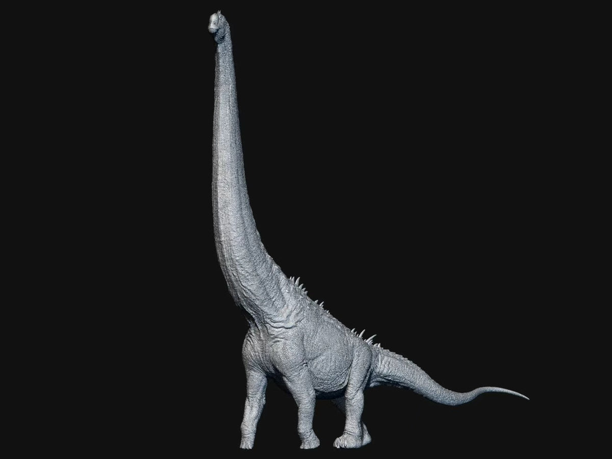 SHOWANNA 1/35 Scale Sauroposeidon Model