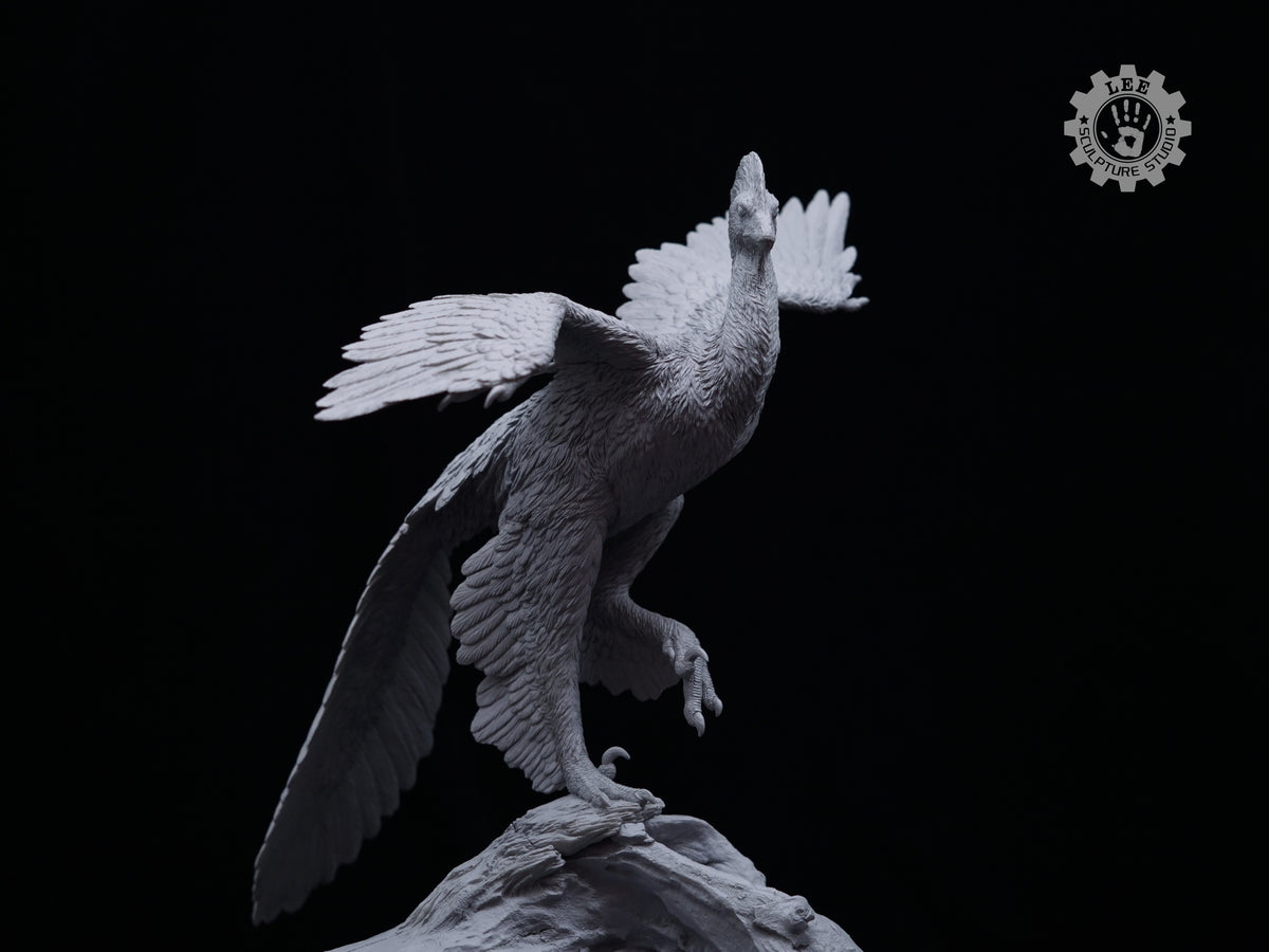 LEE Sculpture Studio 1/2 Scale Anchiornis huxleyi Model